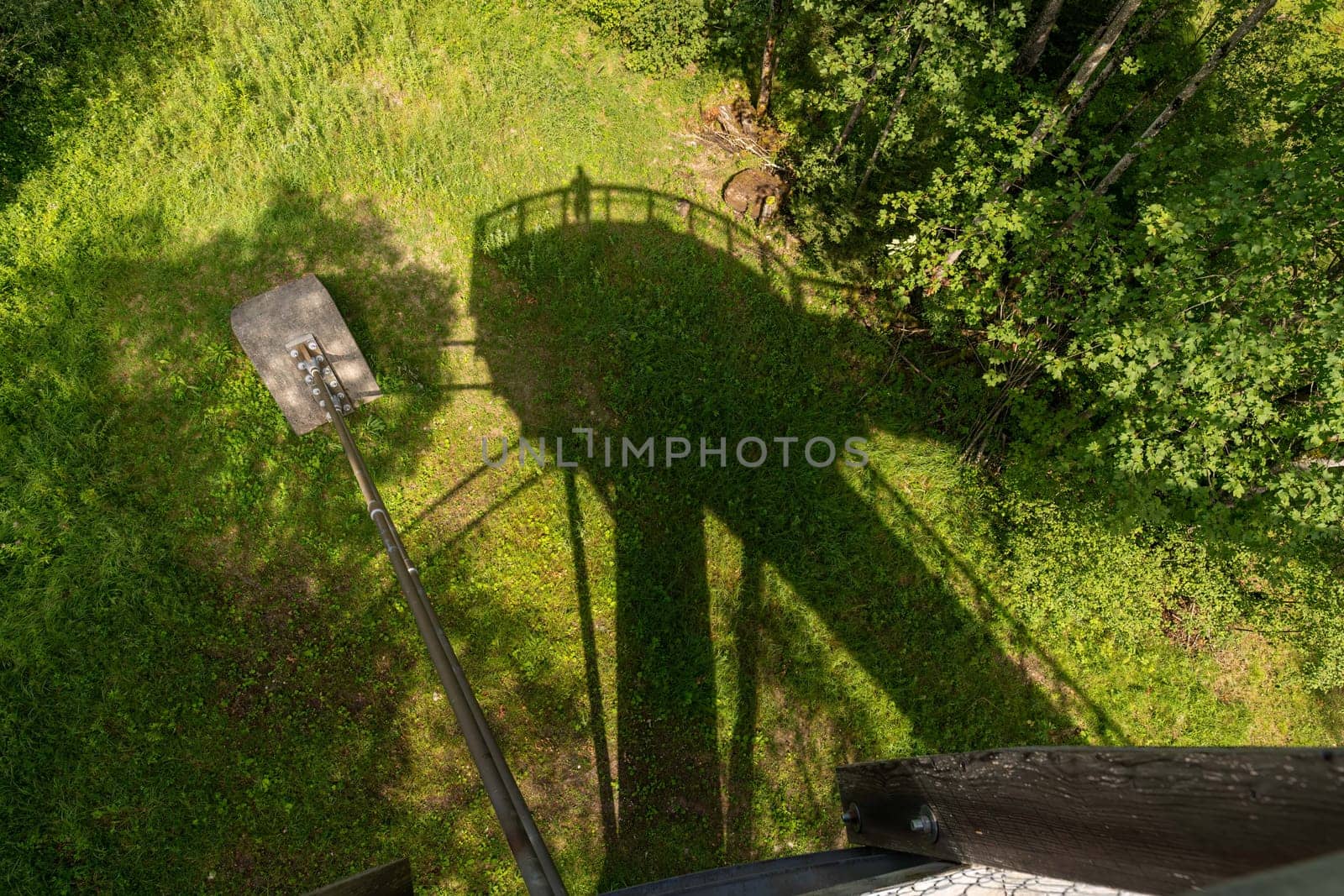 Shadow of Treetop Walkway in Ziegelwies from Above.