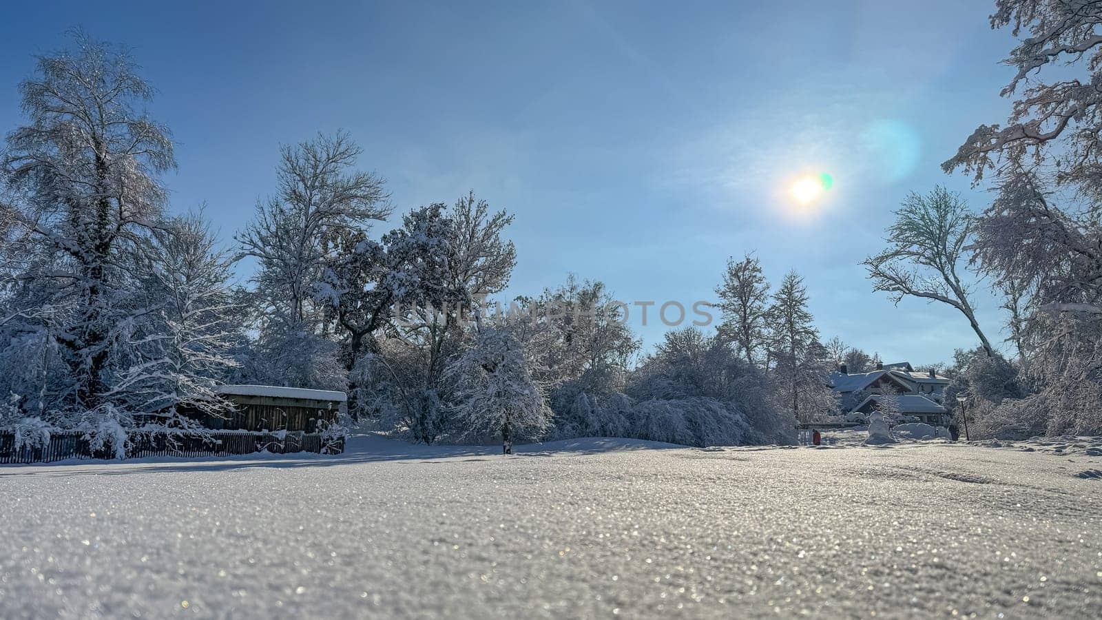 Enchanted Winter Wonderland with Sparkling Snow.