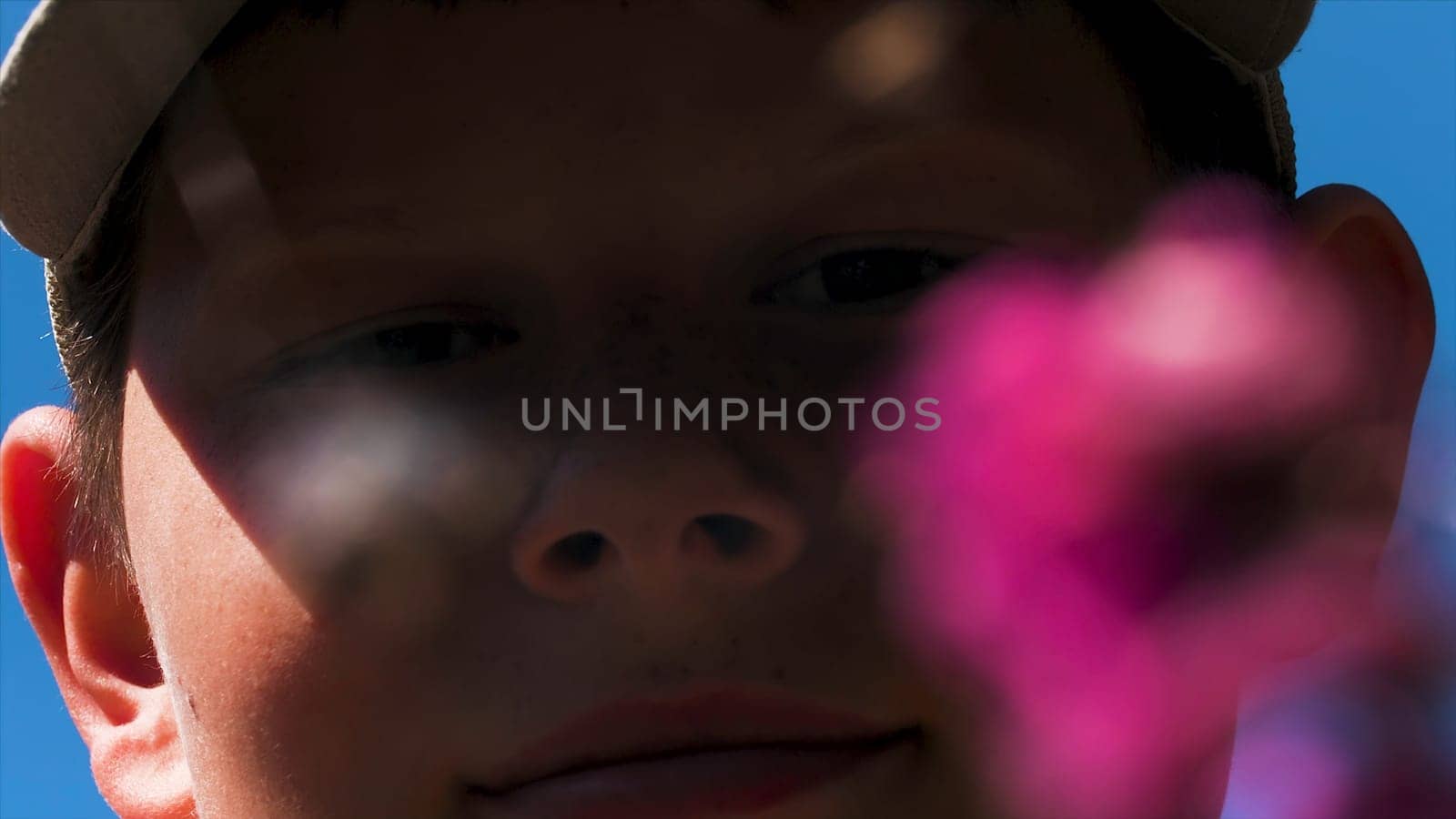 Child looks at spider. Creative. Close-up of boy looking at meadow spider. Wild spider on web in meadow on background of watching boy.