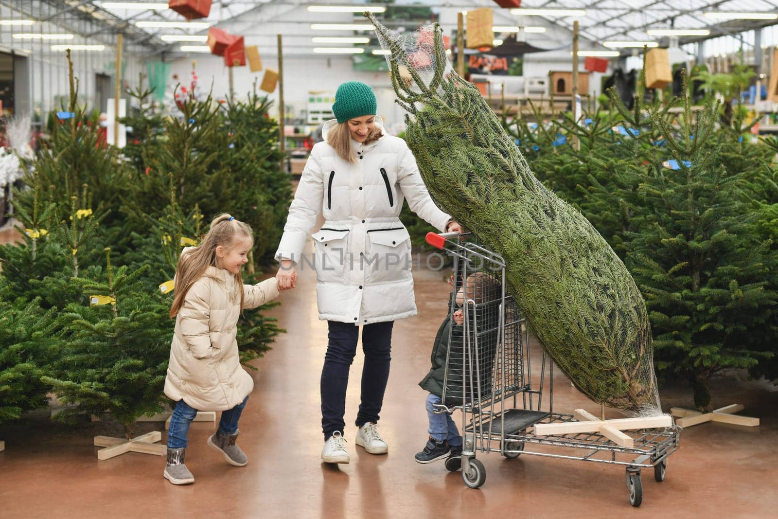 Mother and children choose a Christmas tree in the market.