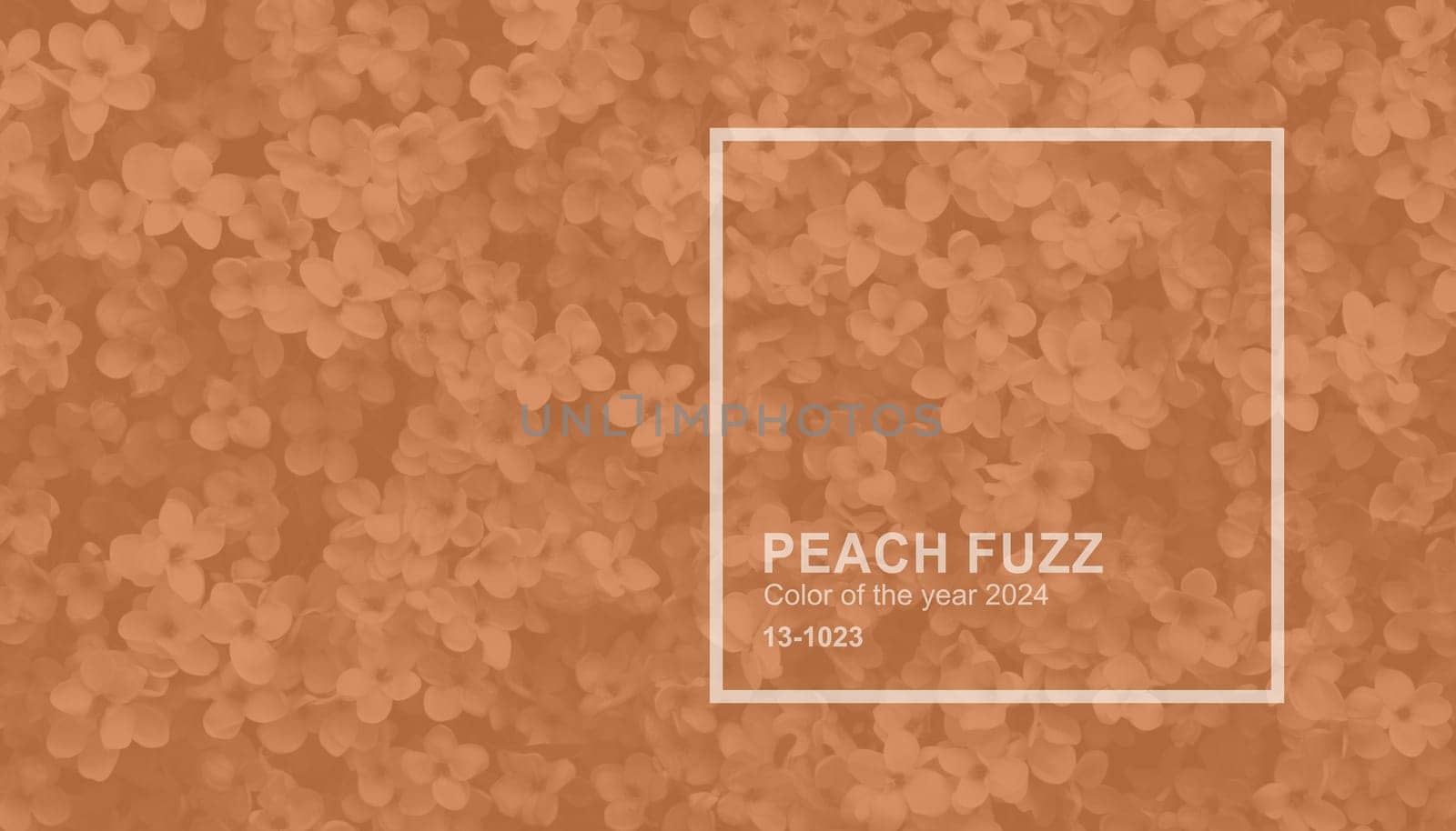 Peach fuzz color flower wall. Color of the year 2024. by kizuneko