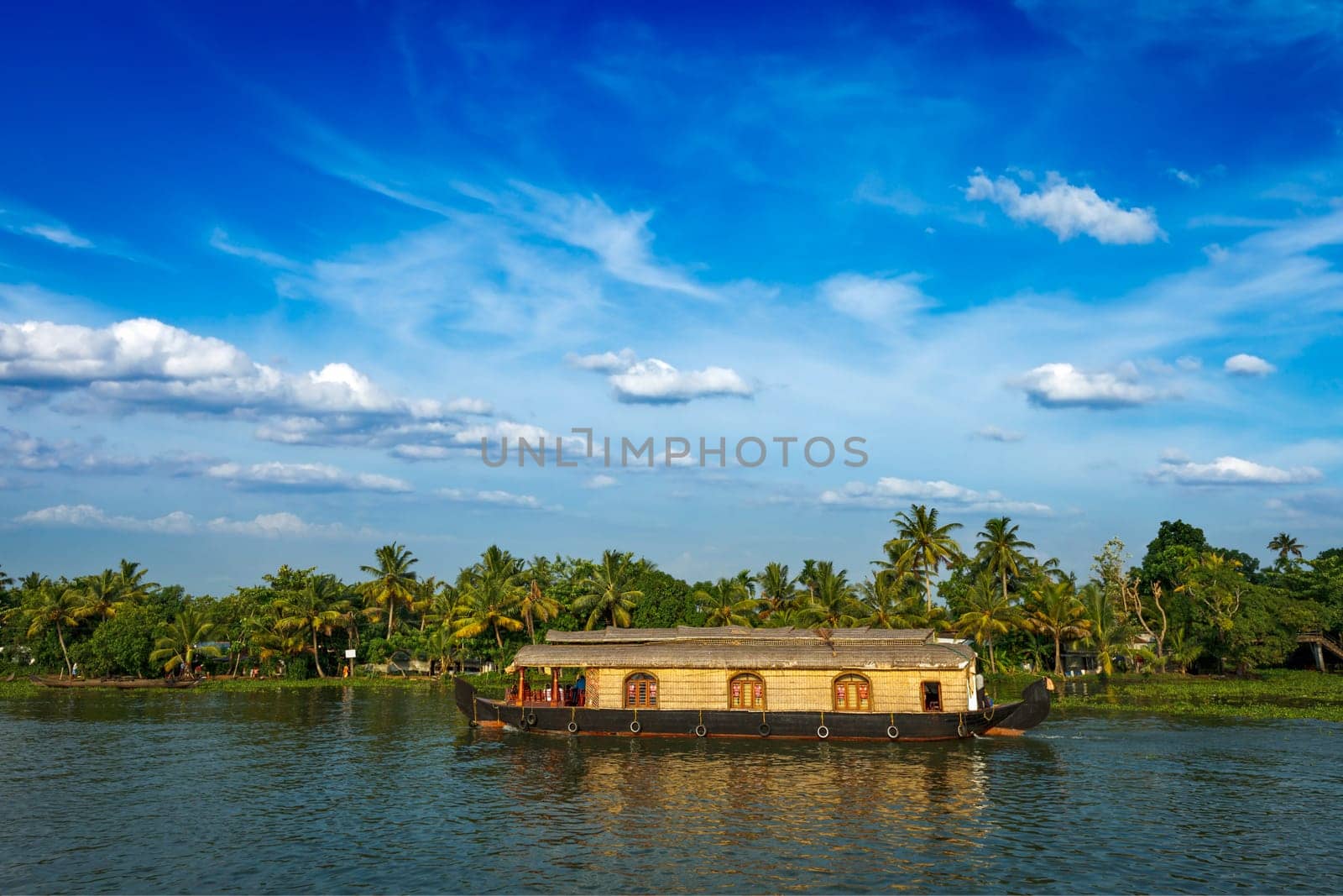 Houseboat on Kerala backwaters, India by dimol