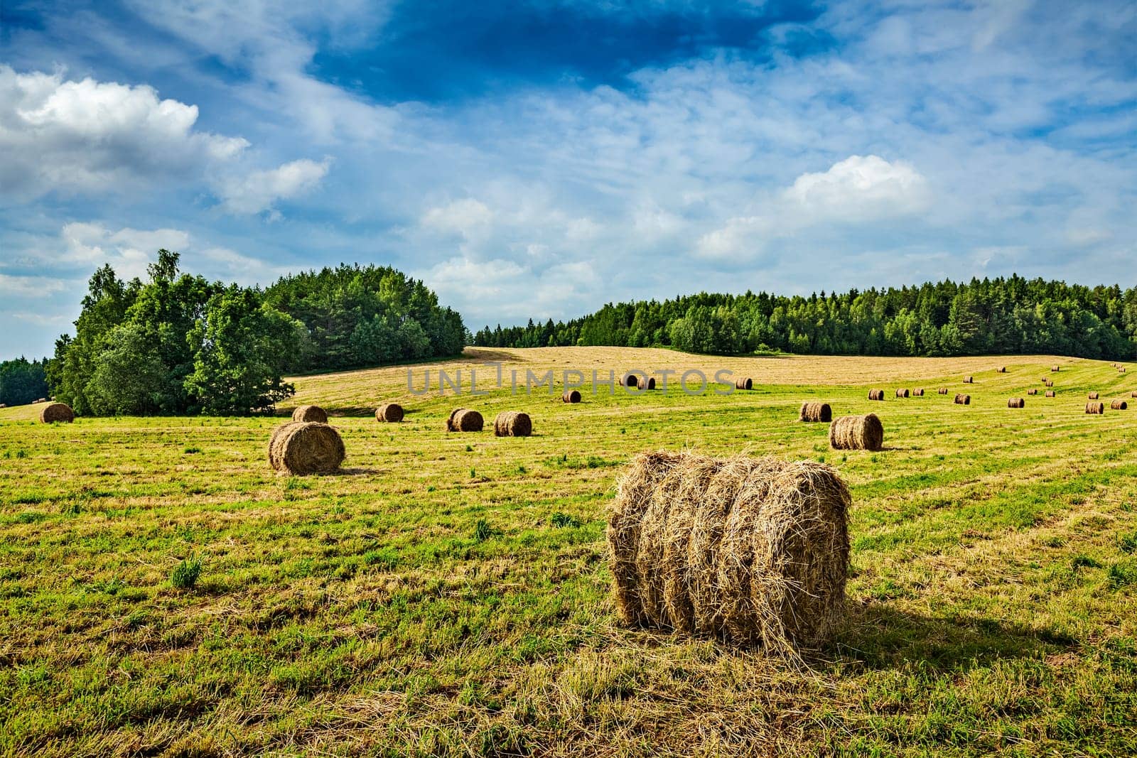 Agriculture background - Hay bales on field in summer