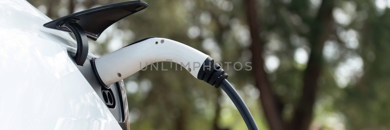 Panorama closeup EV charger handle plugged in or connect to electric car, recharging EV car battery with alternative and sustainable energy with zero CO2 emission for clean environment. Perpetual