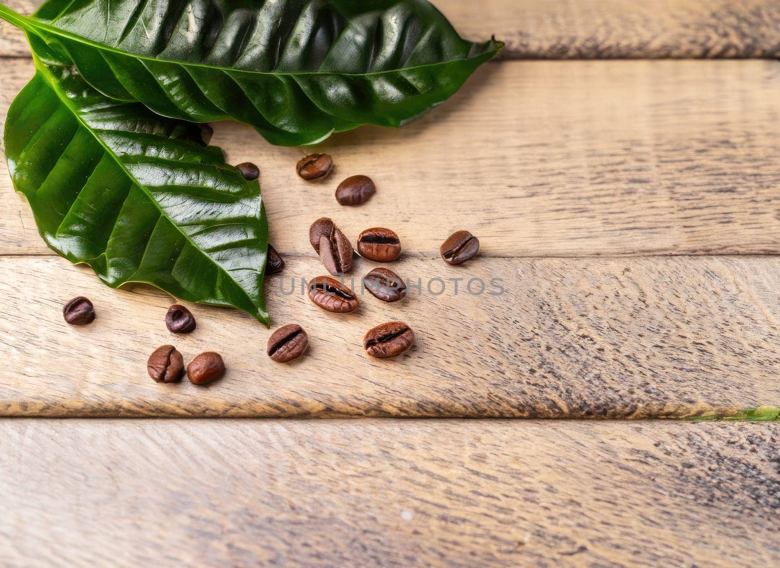 coffee seed and coffee leaf frame with floor copy space background