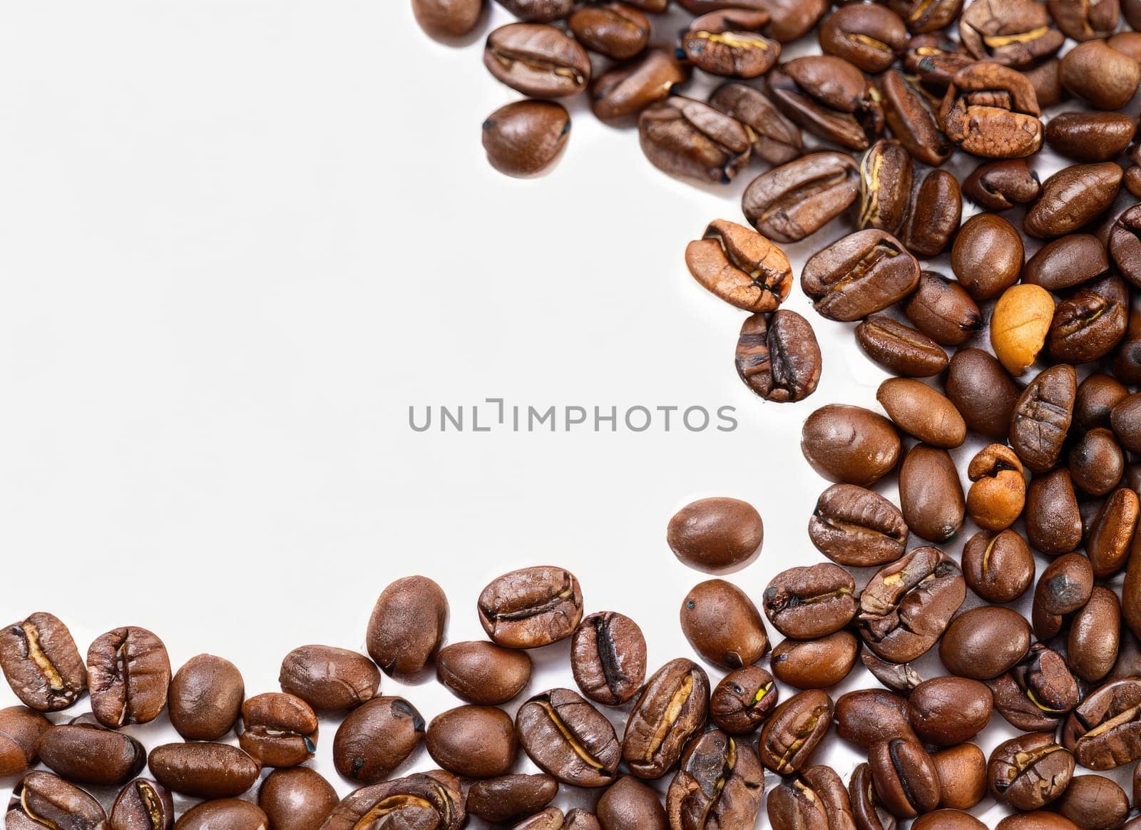 coffee seed frame with white copy space background