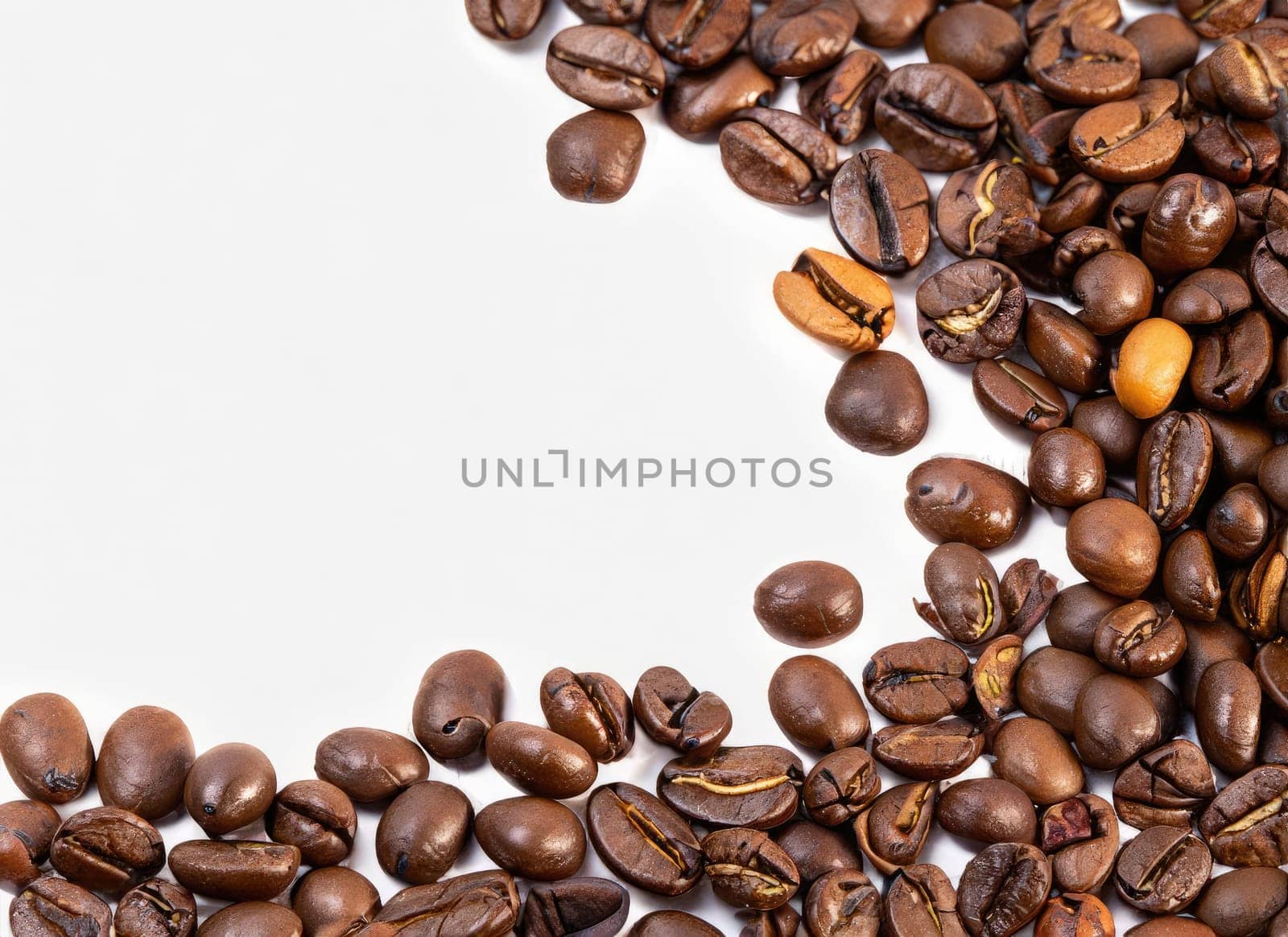 coffee seed frame with white copy space background