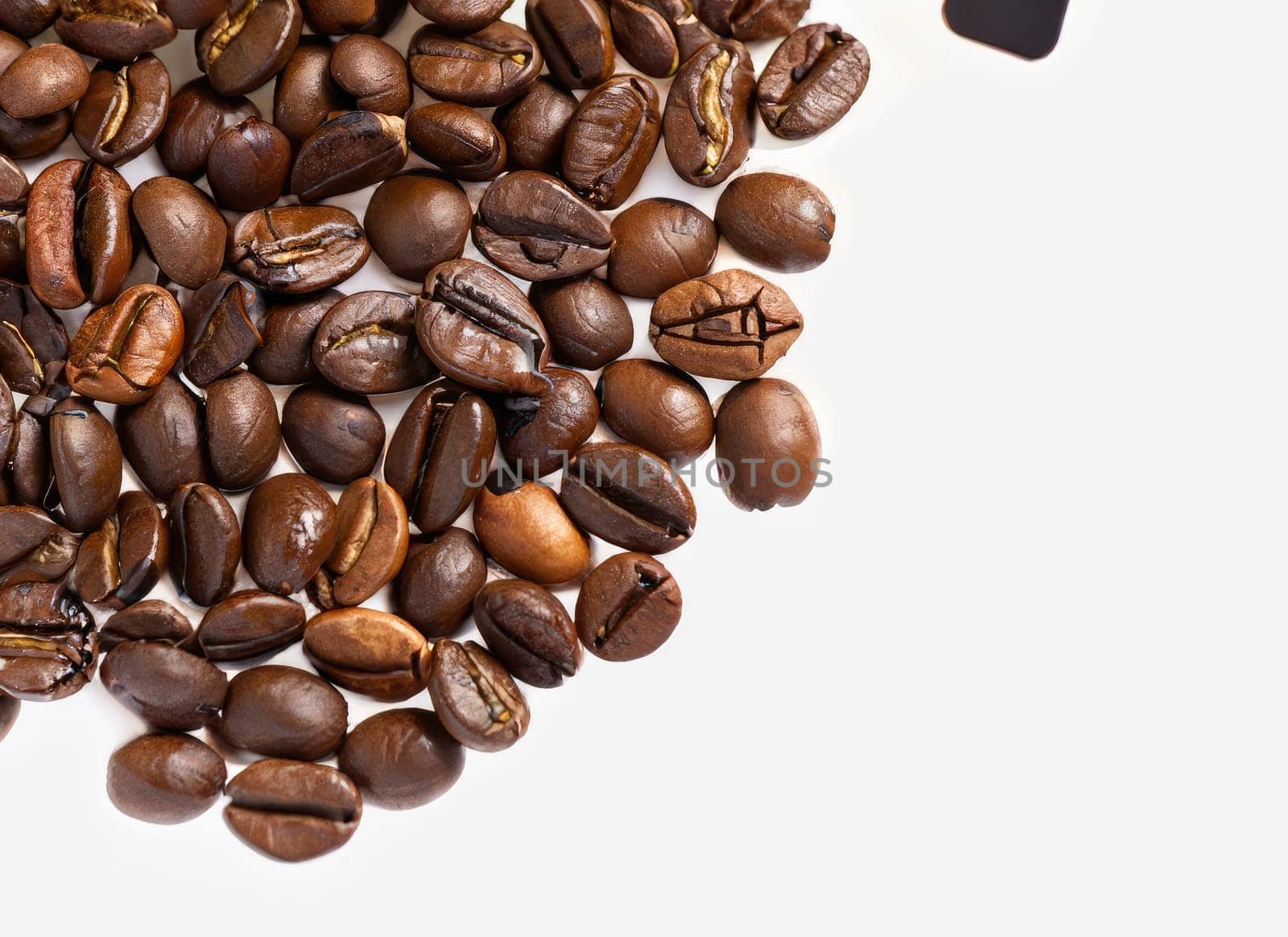 coffee seed frame with white copy space background