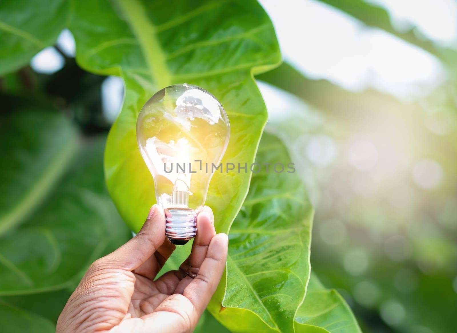 hand holding light bulb against nature on green leaf. AI Generated. by PeaceYAY
