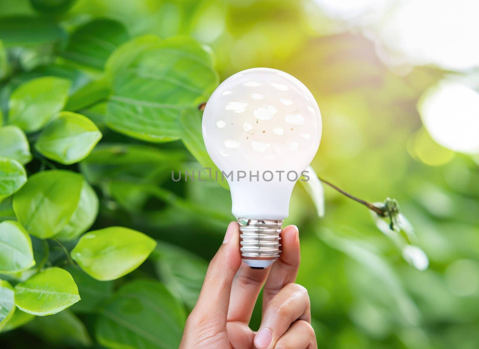 hand holding light bulb against nature on green leaf. AI Generated. by PeaceYAY