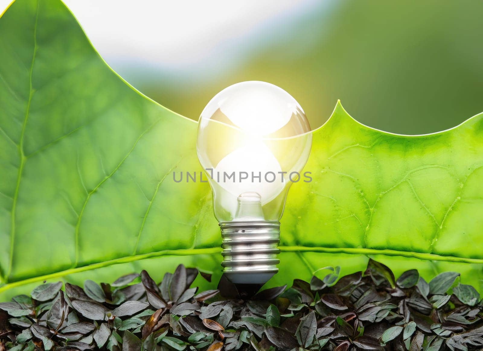 light bulb against nature on green leaf, Sustainable developmen and responsible environment. AI Generated. by PeaceYAY