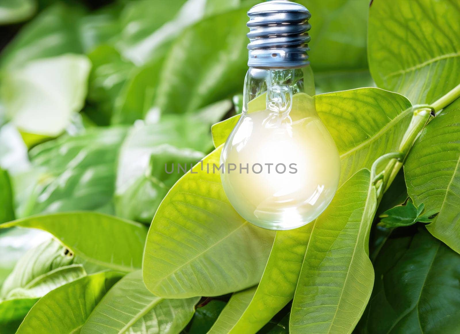 light bulb against nature on green leaf, Sustainable developmen and responsible environment. AI Generated. by PeaceYAY