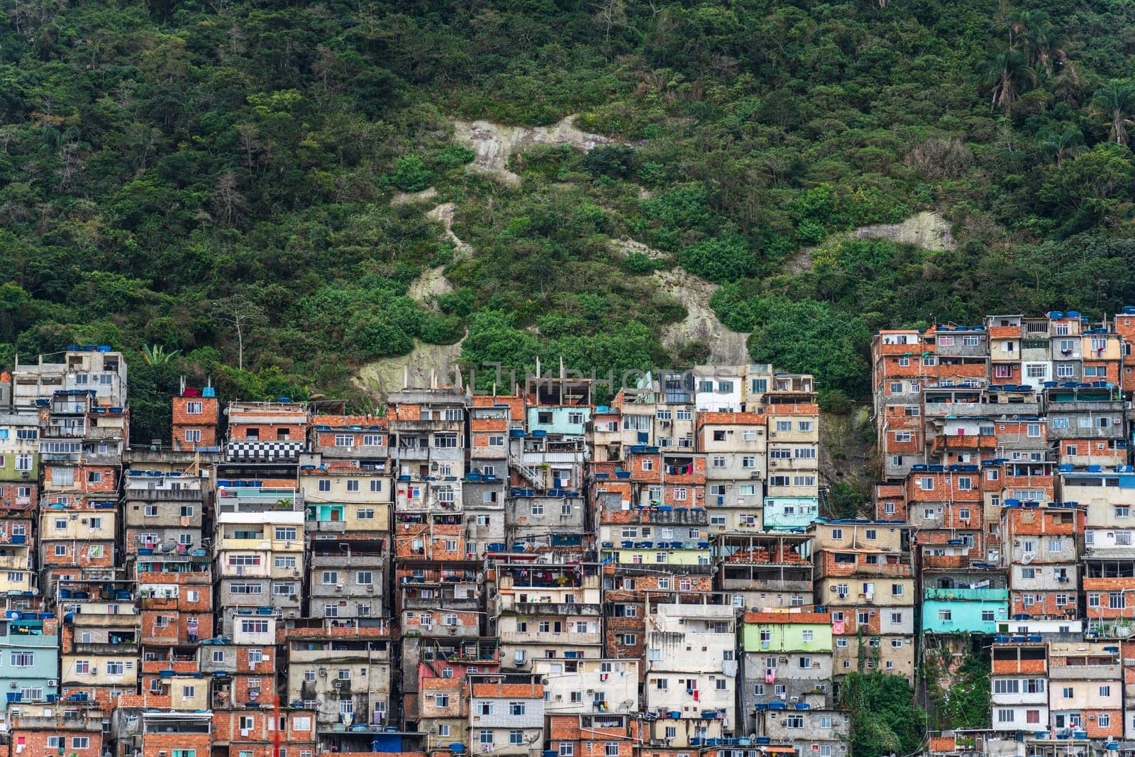 Picturesque favela houses climb a hill, exposing the depth of city poverty.