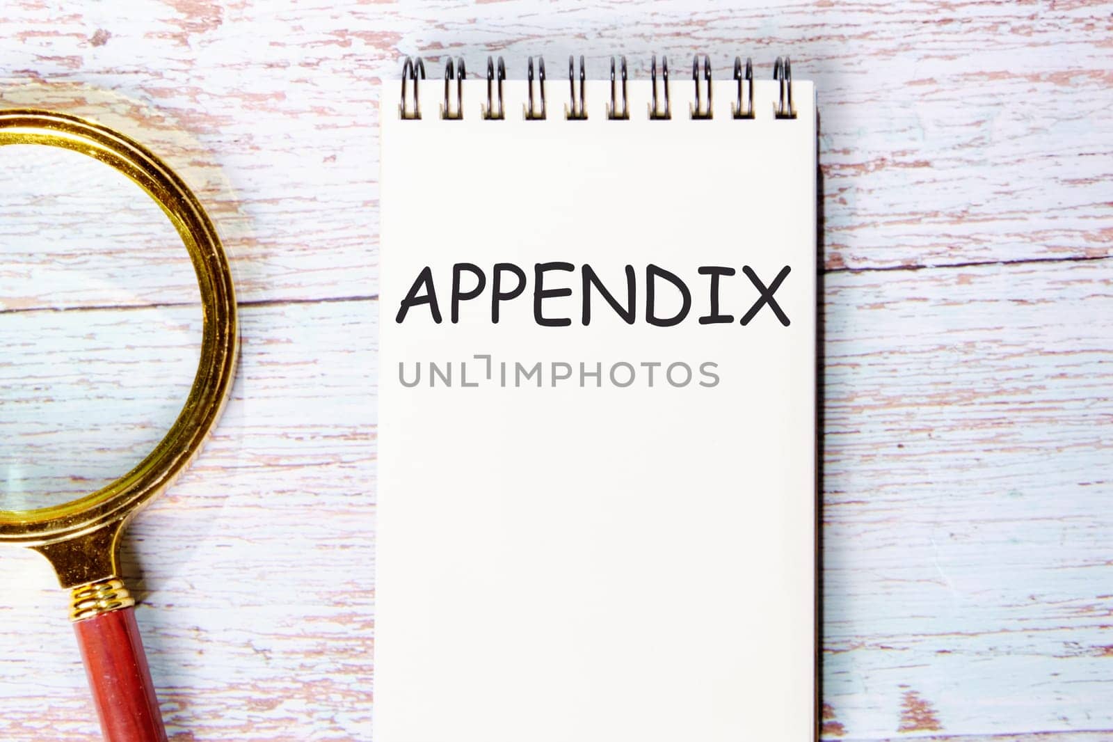 Appendix a word written on a notebook on wooden boards next to a magnifying glass