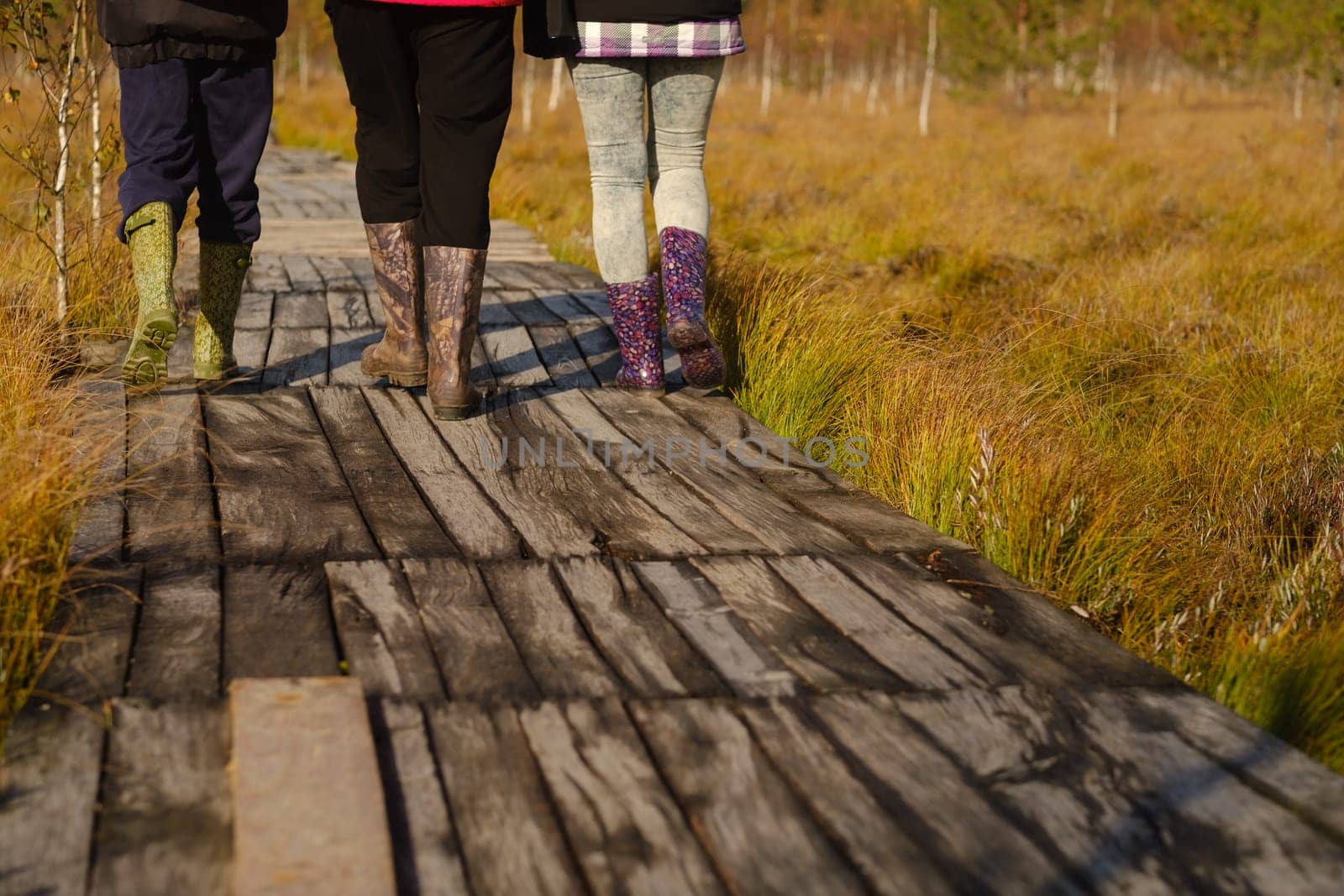 People in boots walk along a wooden path in a swamp in Yelnya, Belarus by Lobachad