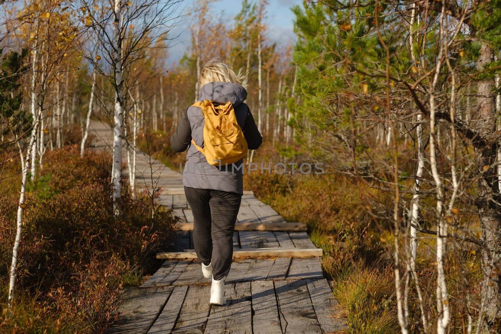 A woman with a backpack walks along a wooden path in a swamp in Yelnya, Belarus.