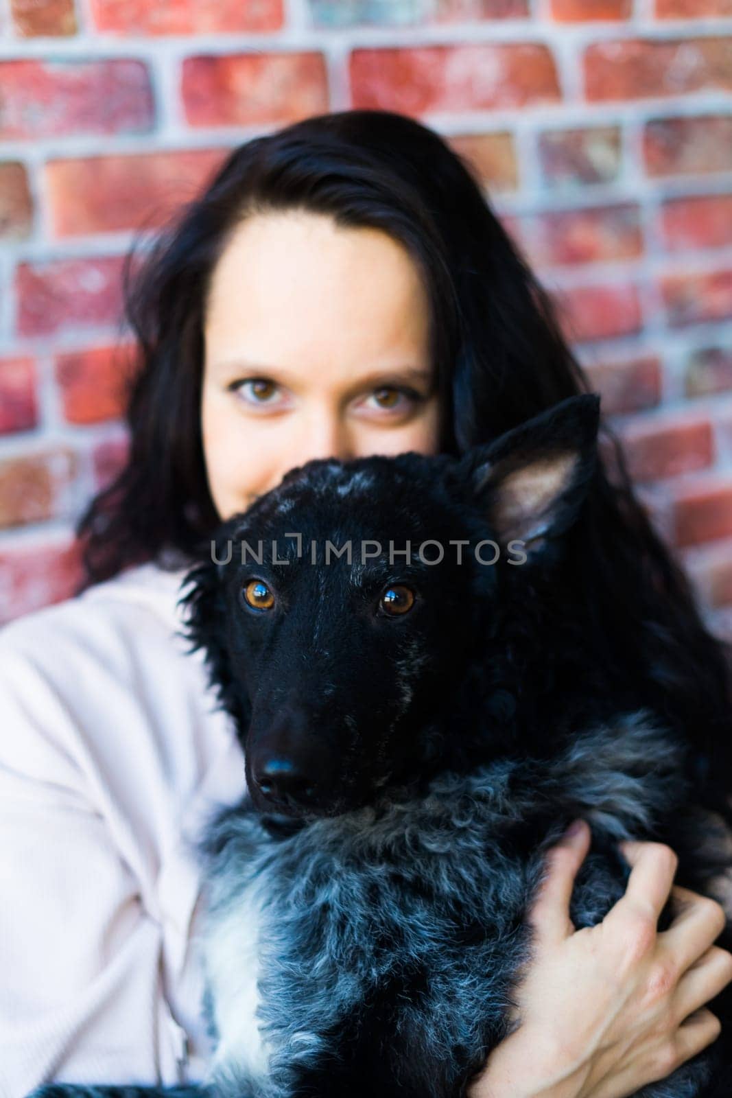 Happy brunette lady in a casual wear hugging mudi pet dog, studio background.