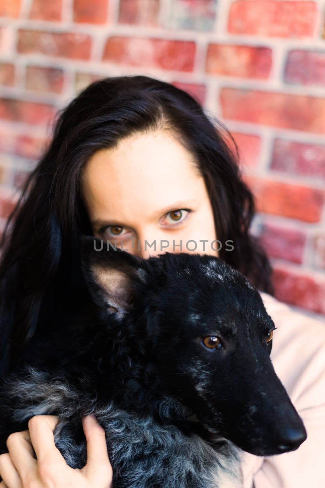 Happy lady in a casual wear hugging purebred pet dog, mudi with owner over studio background.