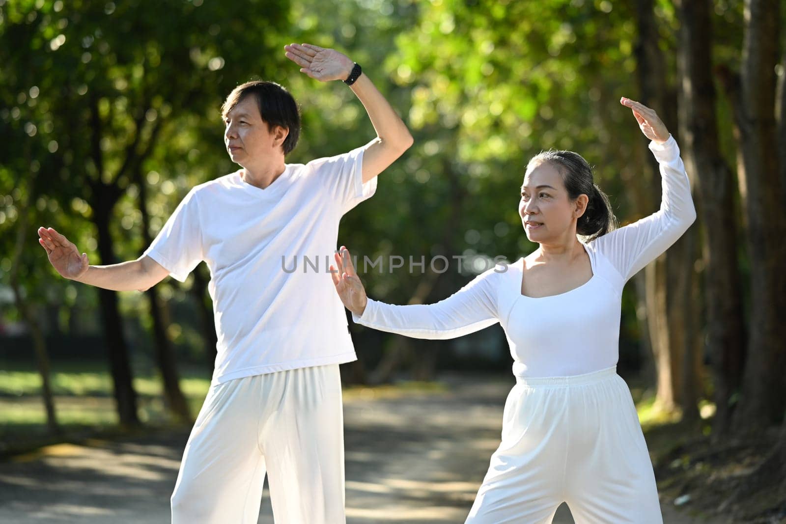 Delighted senior couple practicing Tai Chi Chuan in nature. Health care and wellbeing concept by prathanchorruangsak