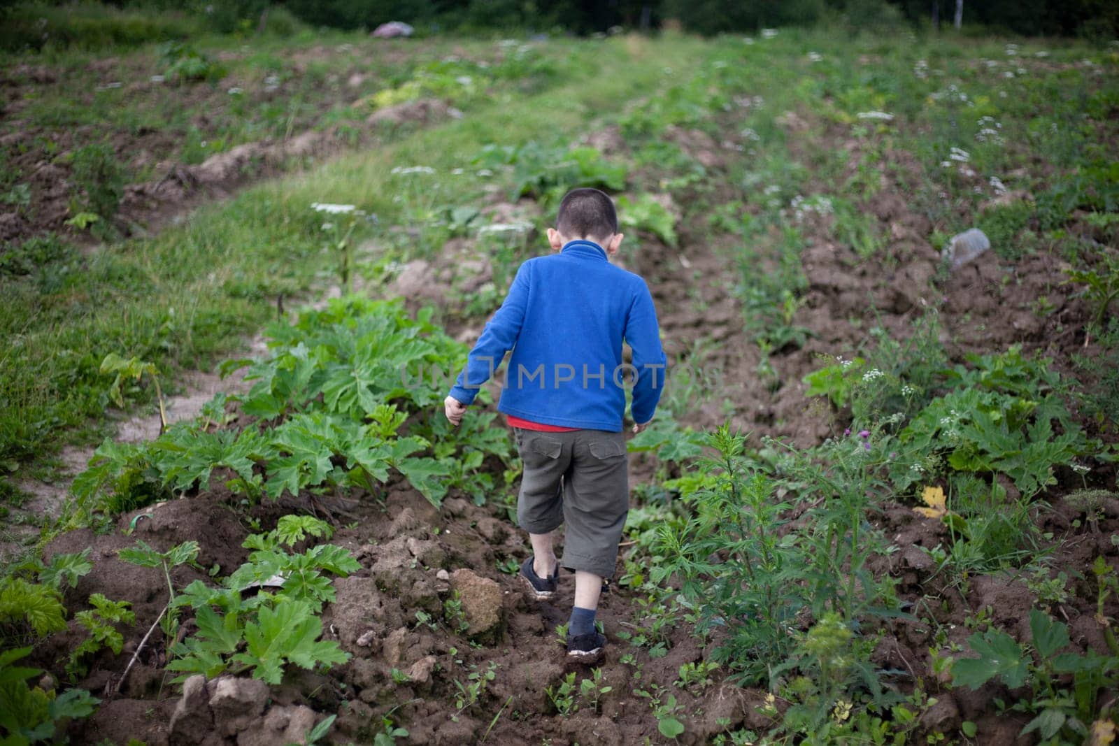 Child walks by nature. Schoolboy walks alone in summer. Boy in blue jacket on street. Lost preschooler.