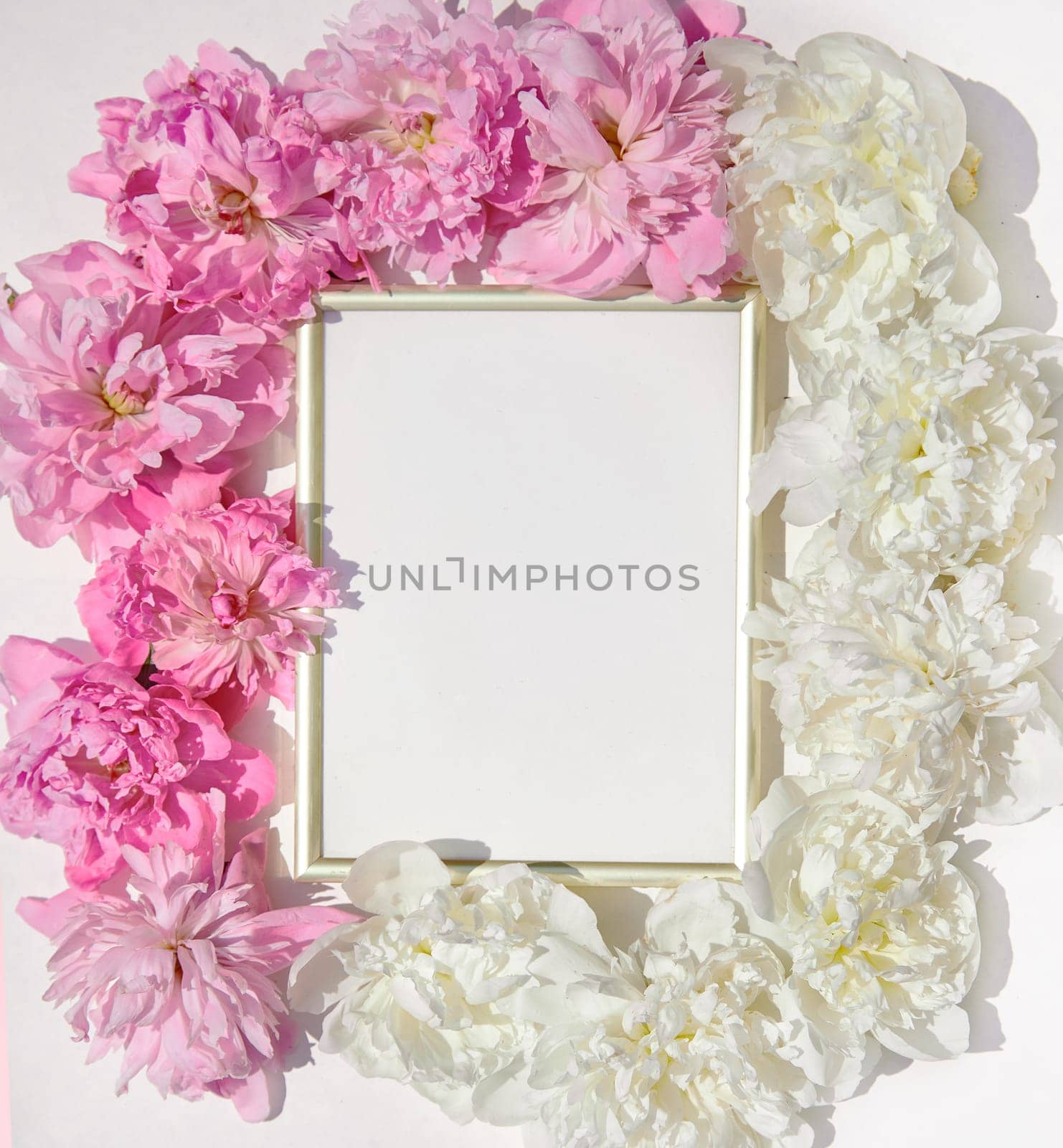 Beautiful frame with floral pions background. Free space for your design, mockup