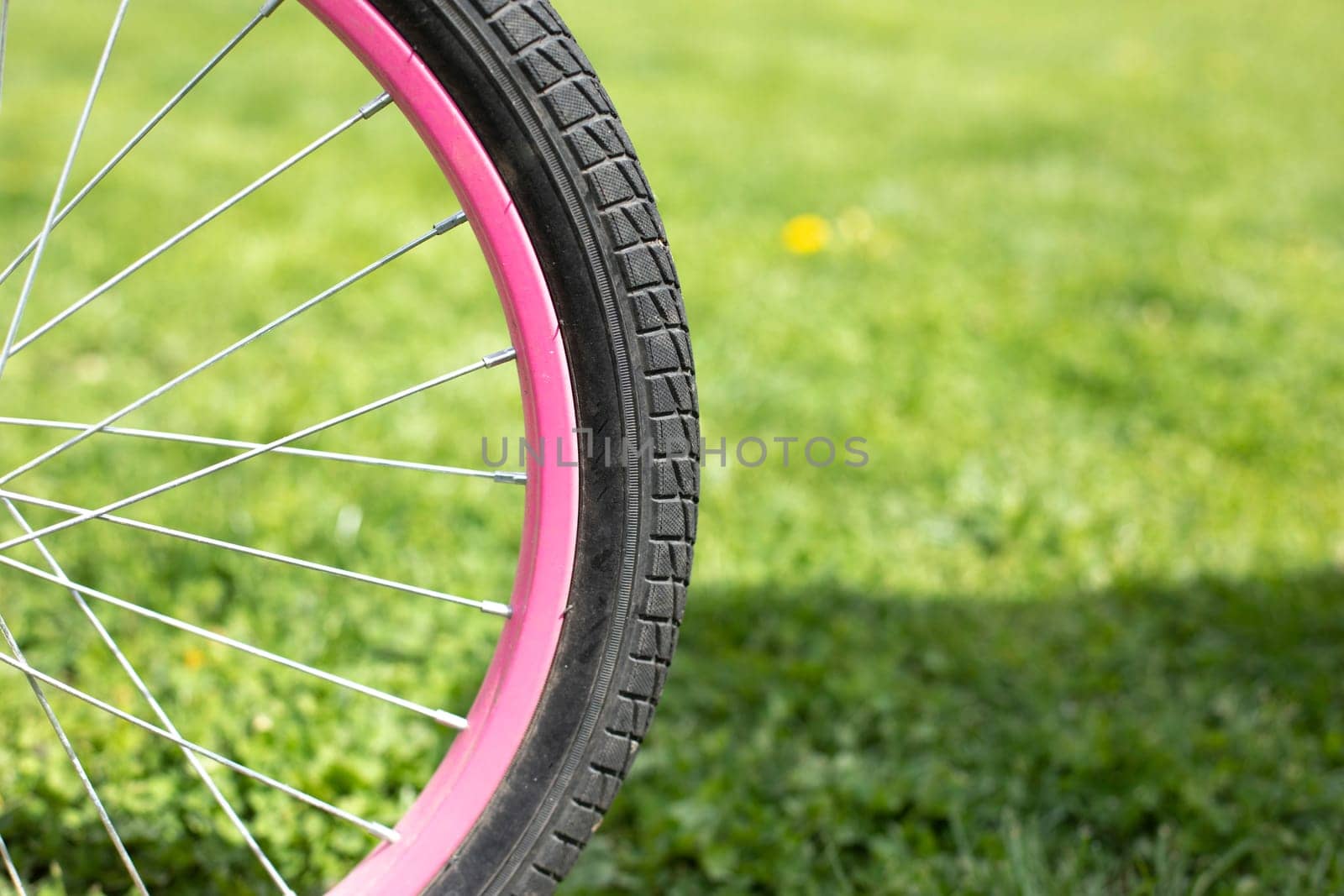 Pink rim and protector. Wheel against background of lawn. by OlegKopyov