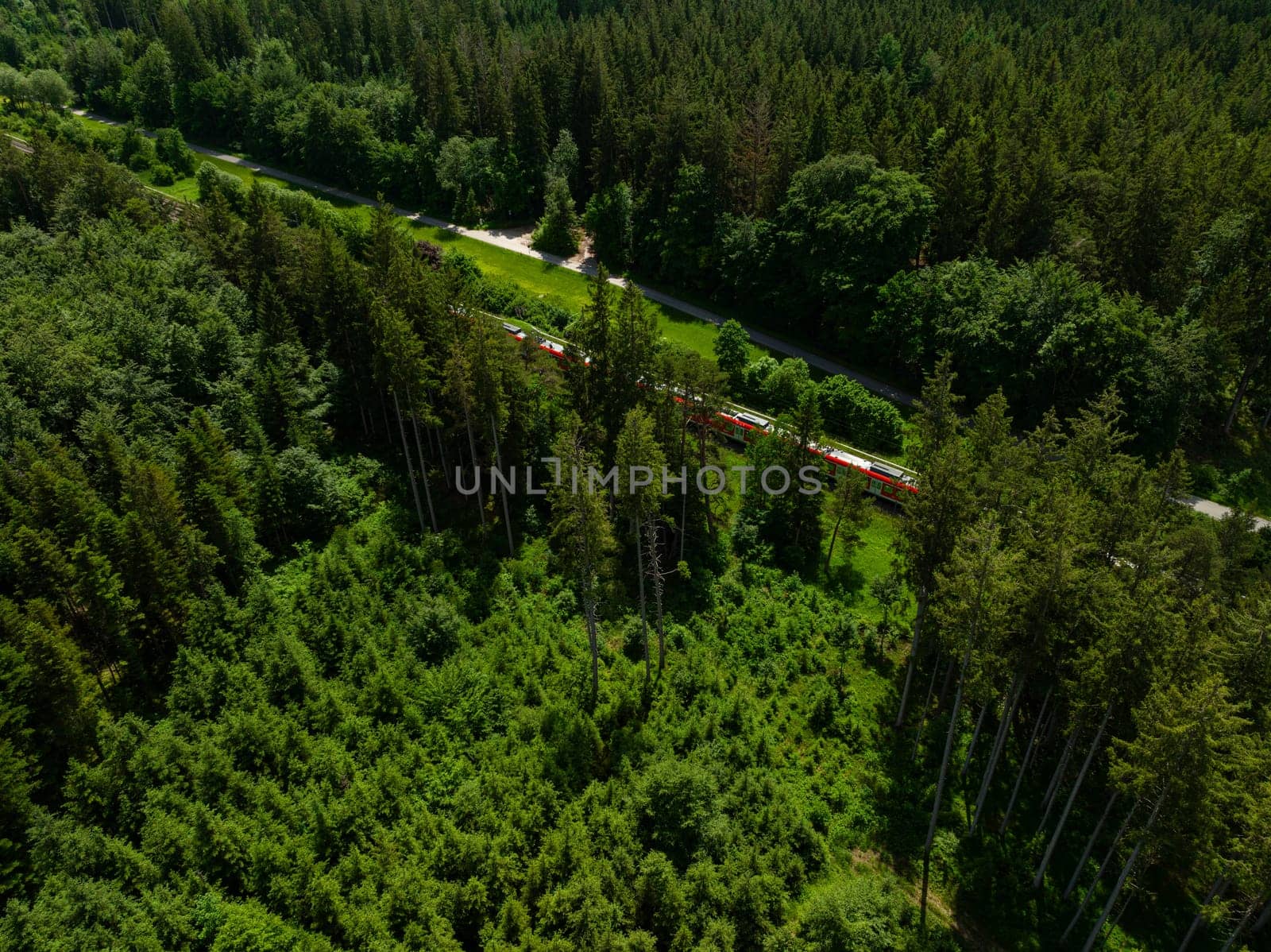 A train is driving through a green, fresh looking forest.