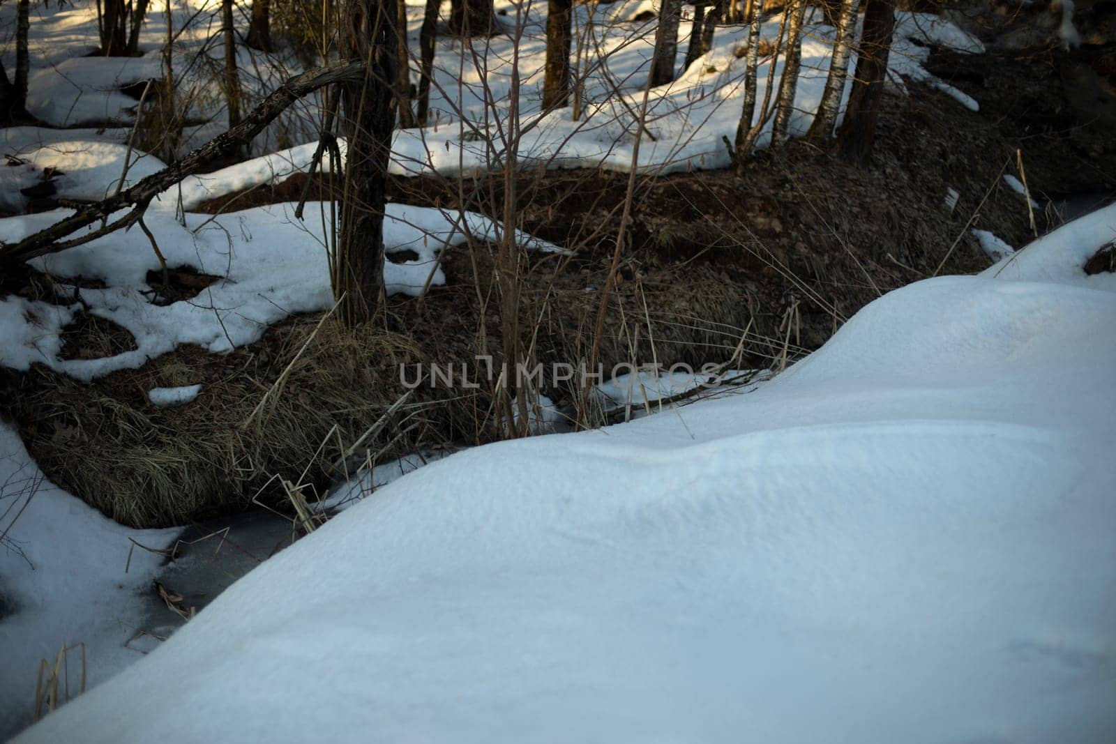 Snow in winter in evening. Frozen ground. Winters were coming. Lots of snow.