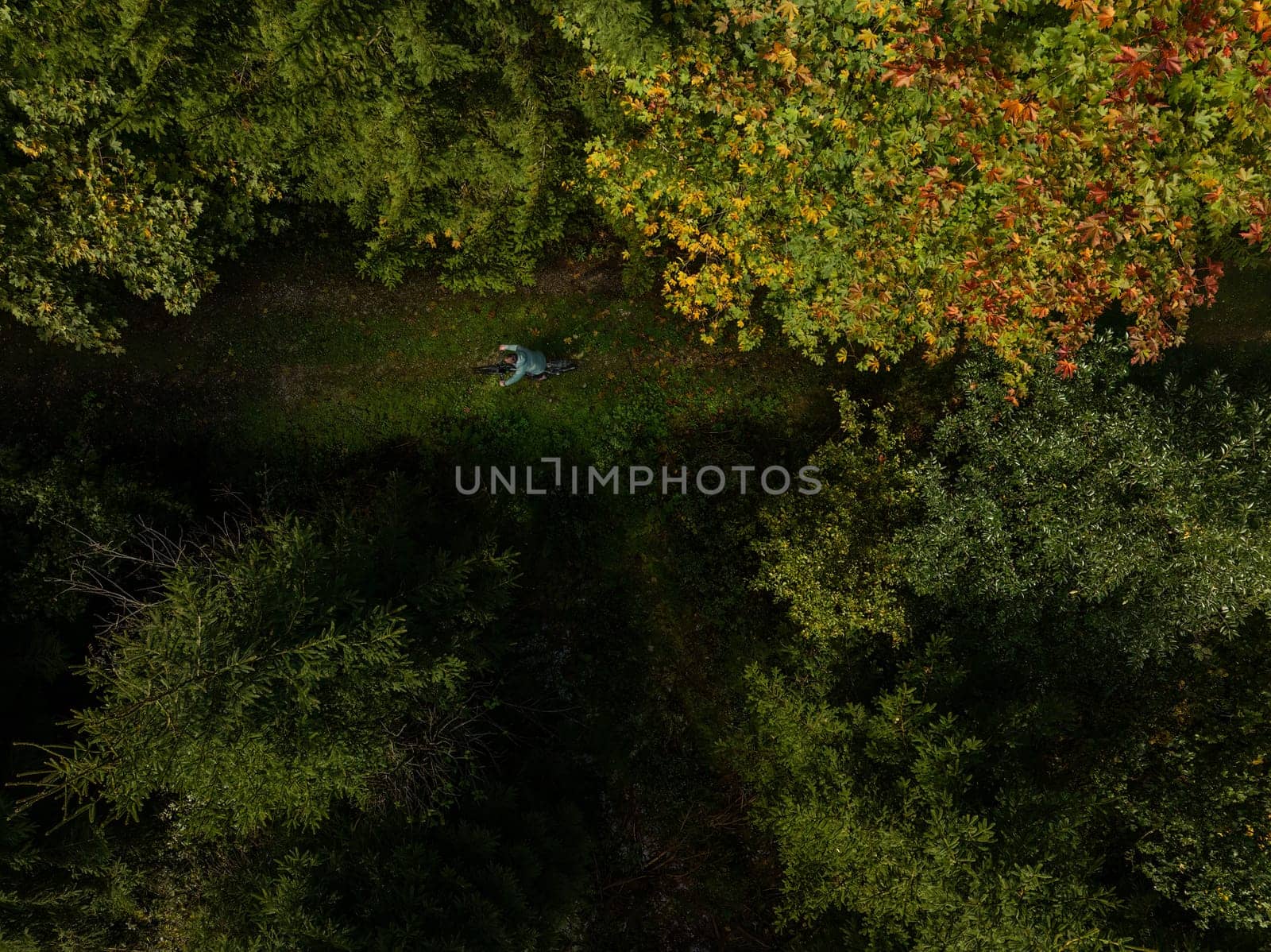 Autumnal Hues in a Forest Aerial View while a cyclist is riding his bike by AllesSuper