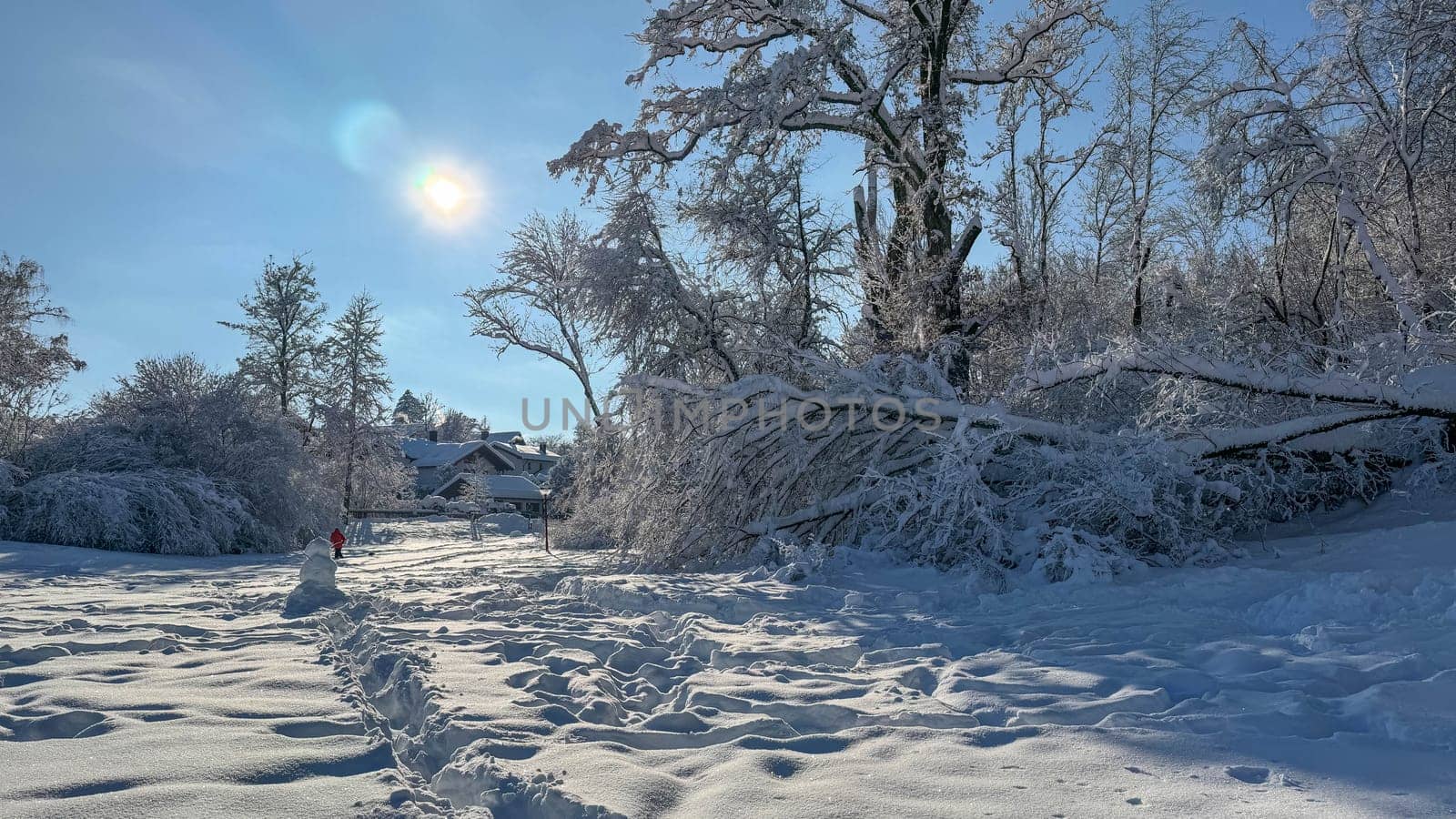 Winter Wonderland with Sparkling Snow and Sun.