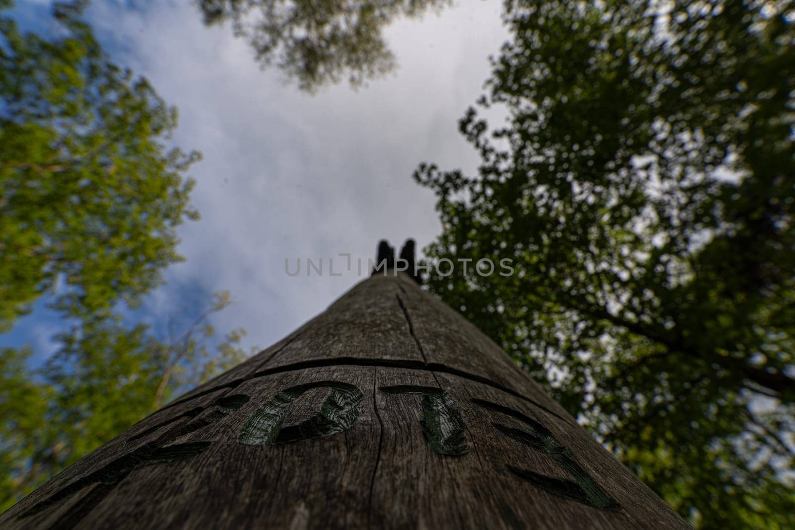 Skyward View of Aged Totem Pole Amongst Trees by AllesSuper