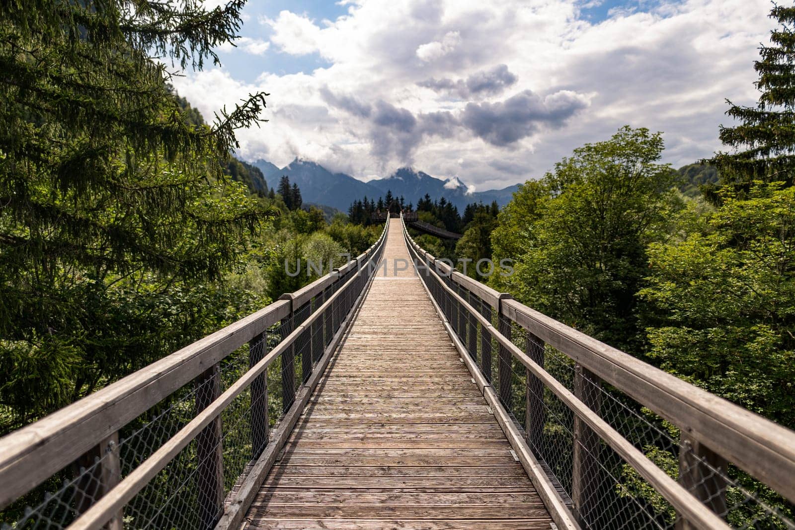 Straight ahead on a suspension bridge next to the treetops.