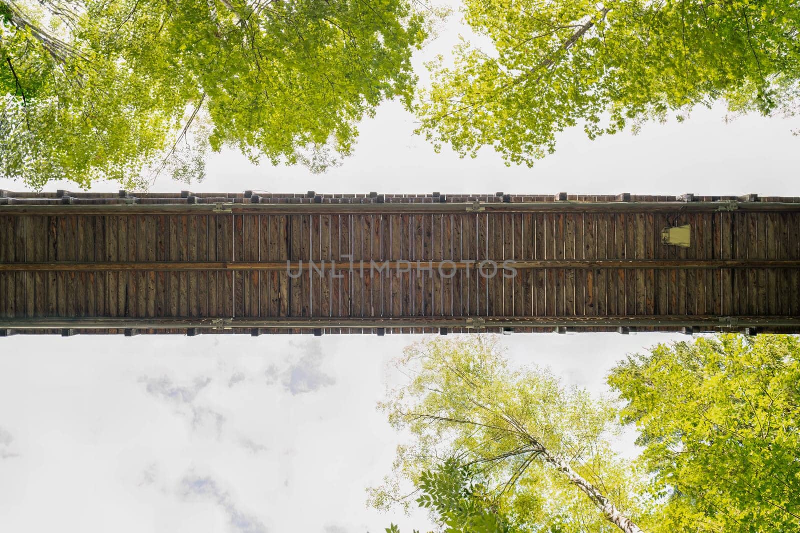 The treetop path of Fuessen from below