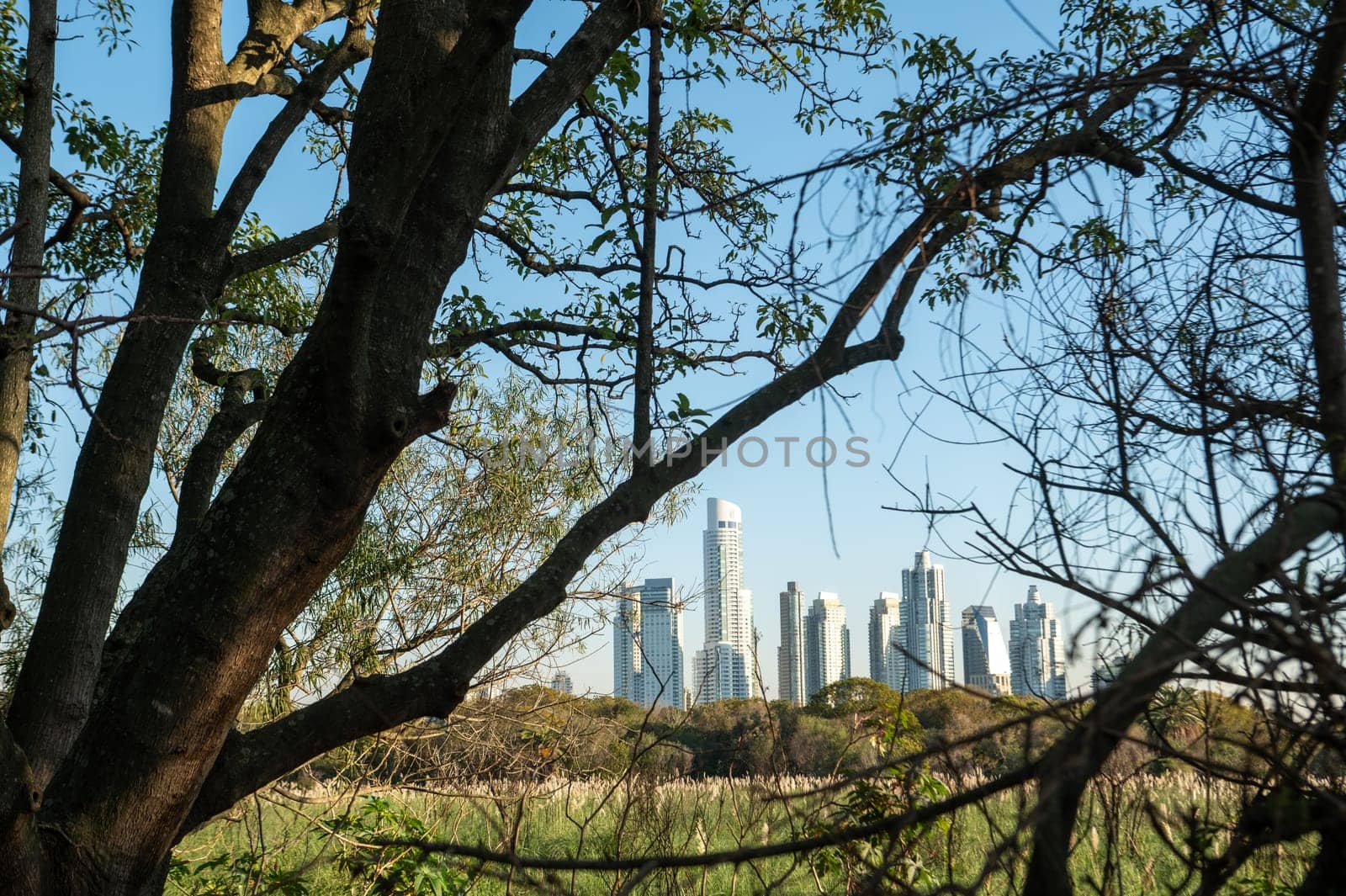 Sunny day in the Costanera Sur Ecological Reserve in Buenos Aires, capital of the Argentine Republic in 2023.