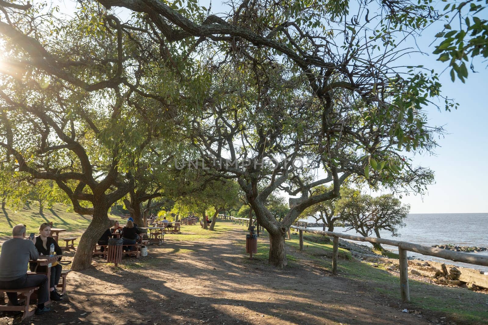 Buenos Aires, Argentina : 2023 May 31 : Sunny day in the Costanera Sur Ecological Reserve in Buenos Aires, capital of the Argentine Republic in 2023.