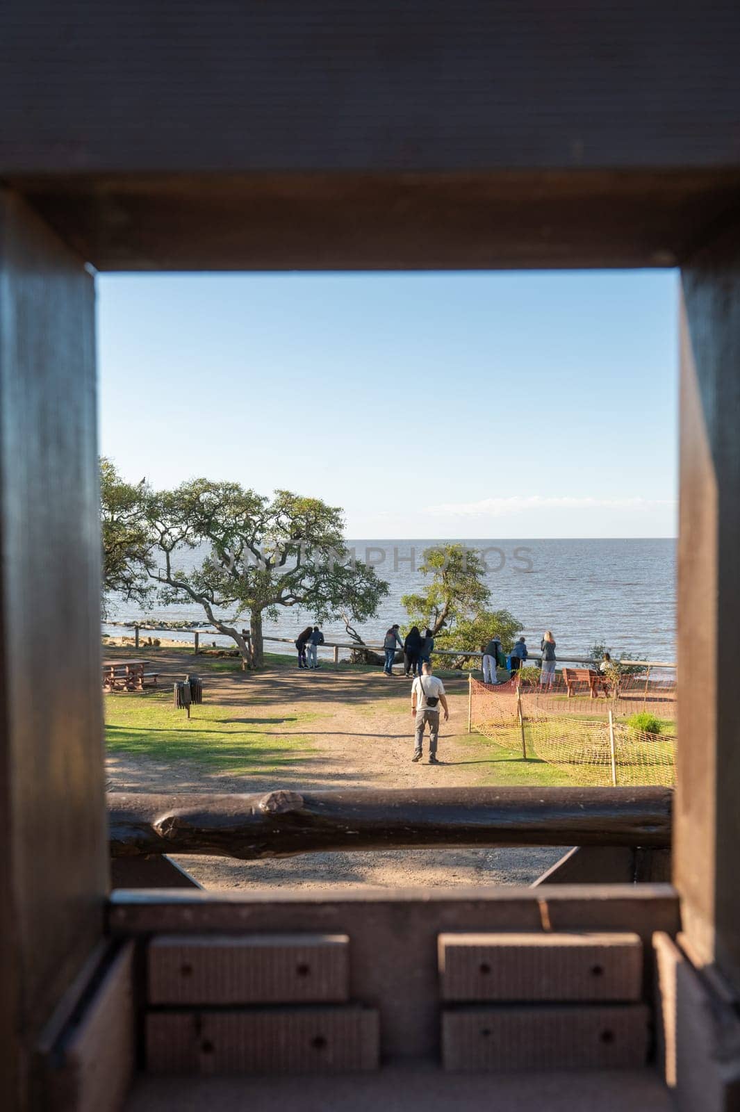 Sunny day in the Costanera Sur Ecological Reserve in Buenos Aires, capital of the Argentine Republic in 2023. by martinscphoto