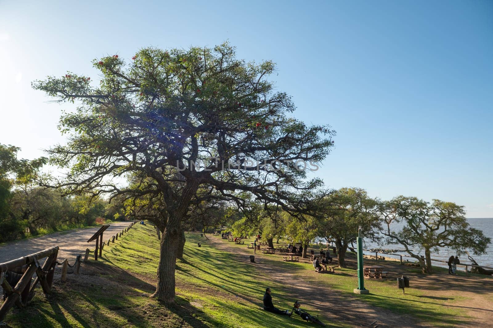 Sunny day in the Costanera Sur Ecological Reserve in Buenos Aires, capital of the Argentine Republic in 2023. by martinscphoto