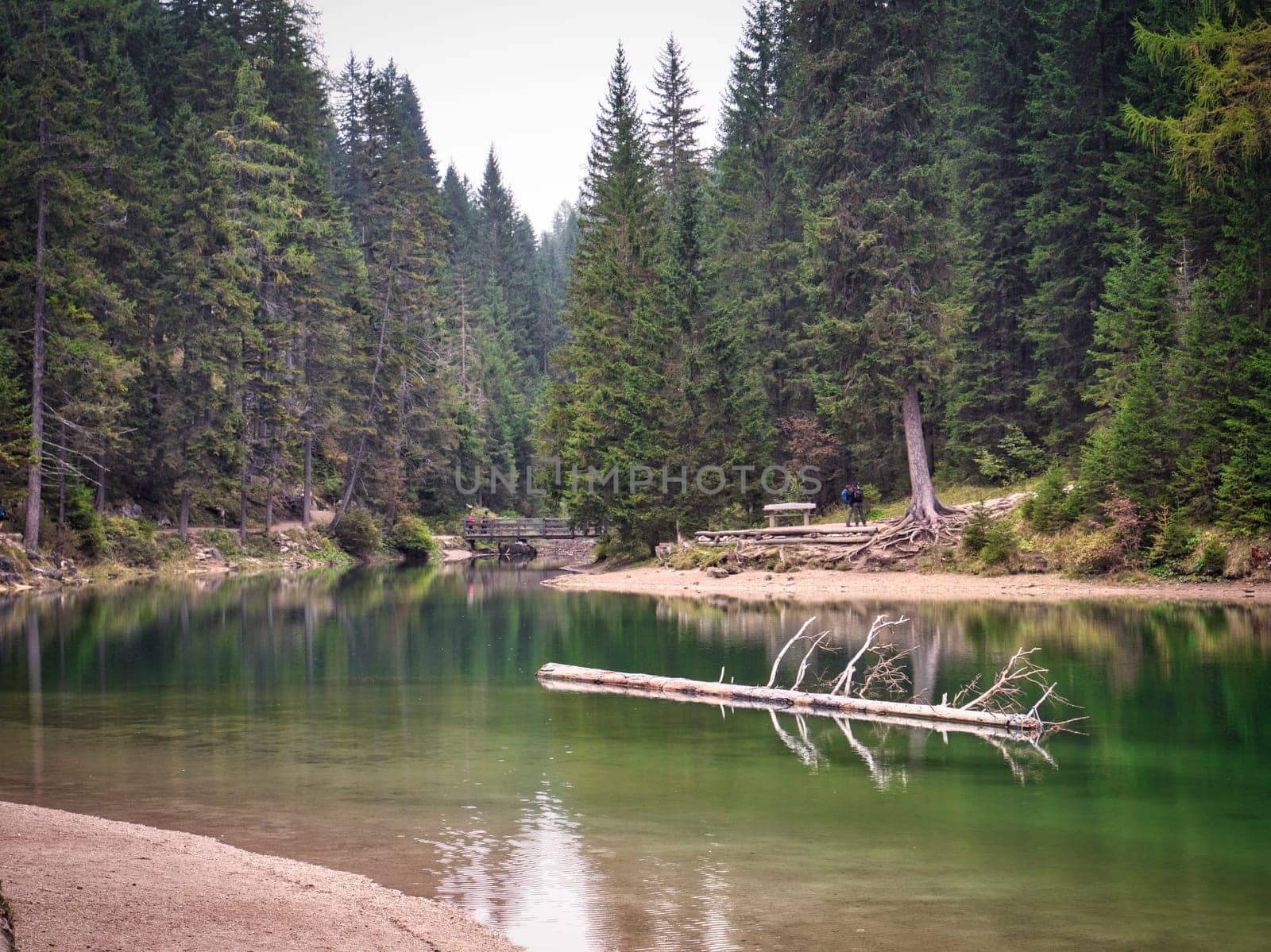 Photo of a serene lake nestled among majestic mountains and lush trees in the Dolomites of Italy by artofphoto