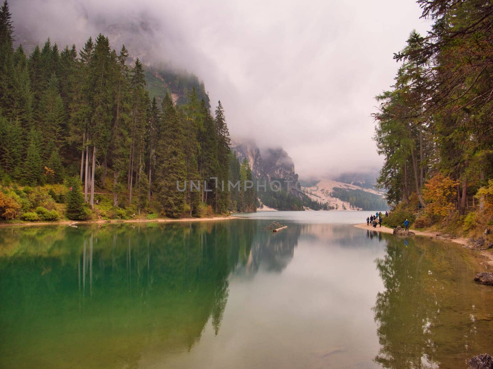 A body of water surrounded by trees and mountains. Photo of a serene lake nestled among majestic mountains in the Italian Dolomites