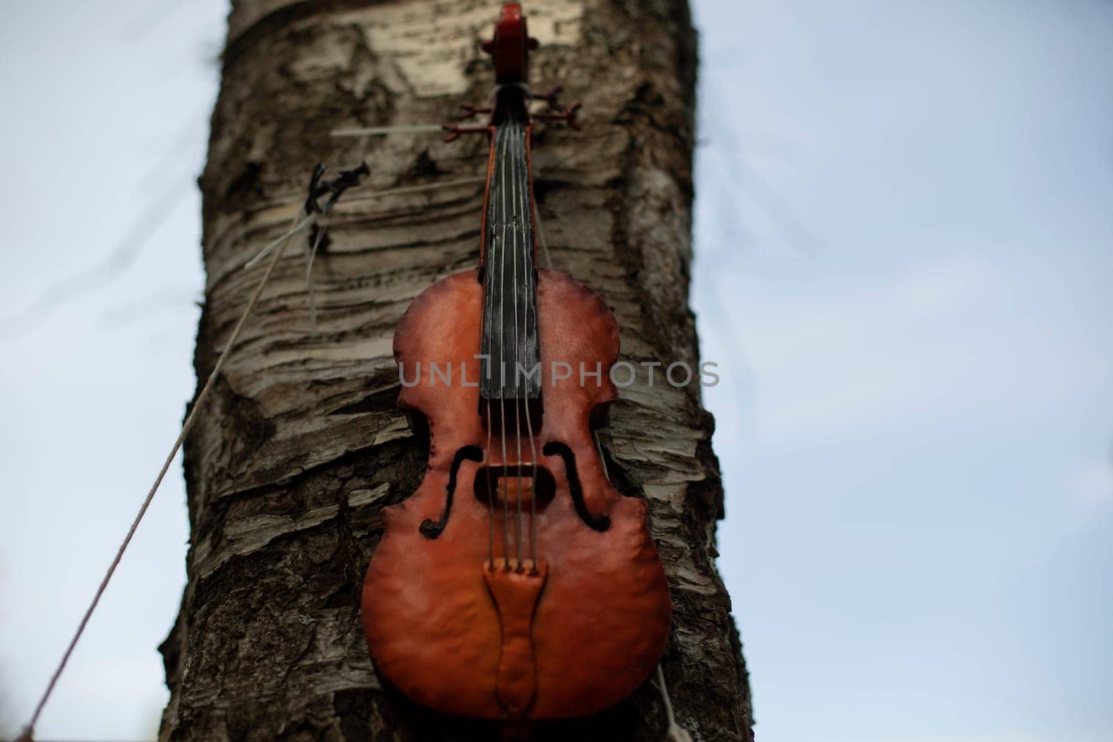 Violin on wood. Stringed musical instrument. Details of music festival. by OlegKopyov