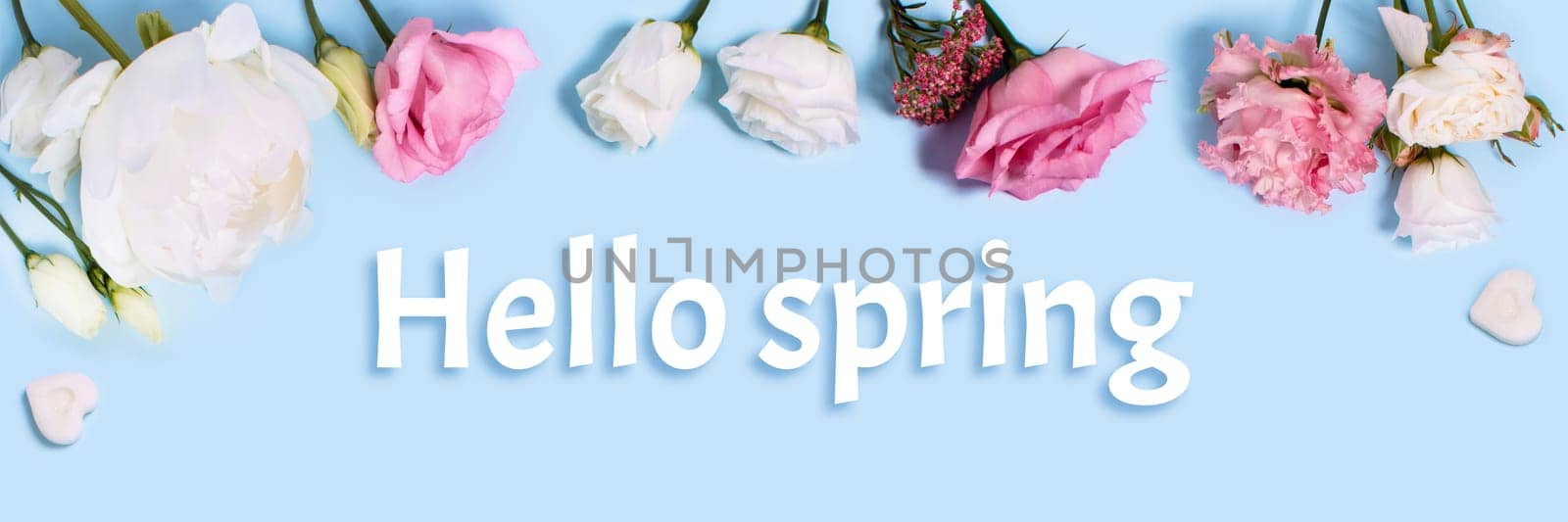 Web banner with roses, ranunculus, and pieces of sugar in the form of hearts and the inscription Hello Spring