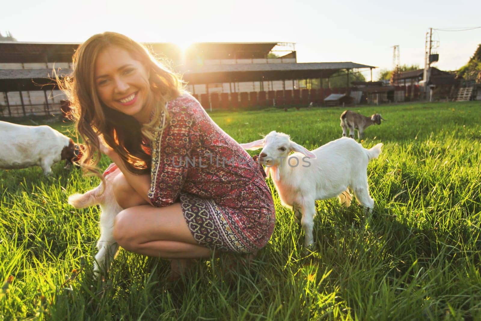 Young woman playing with goat kids on green spring meadow, smiling as animal chews her dress. Wide angle photo in strong sun backlight by Ivanko