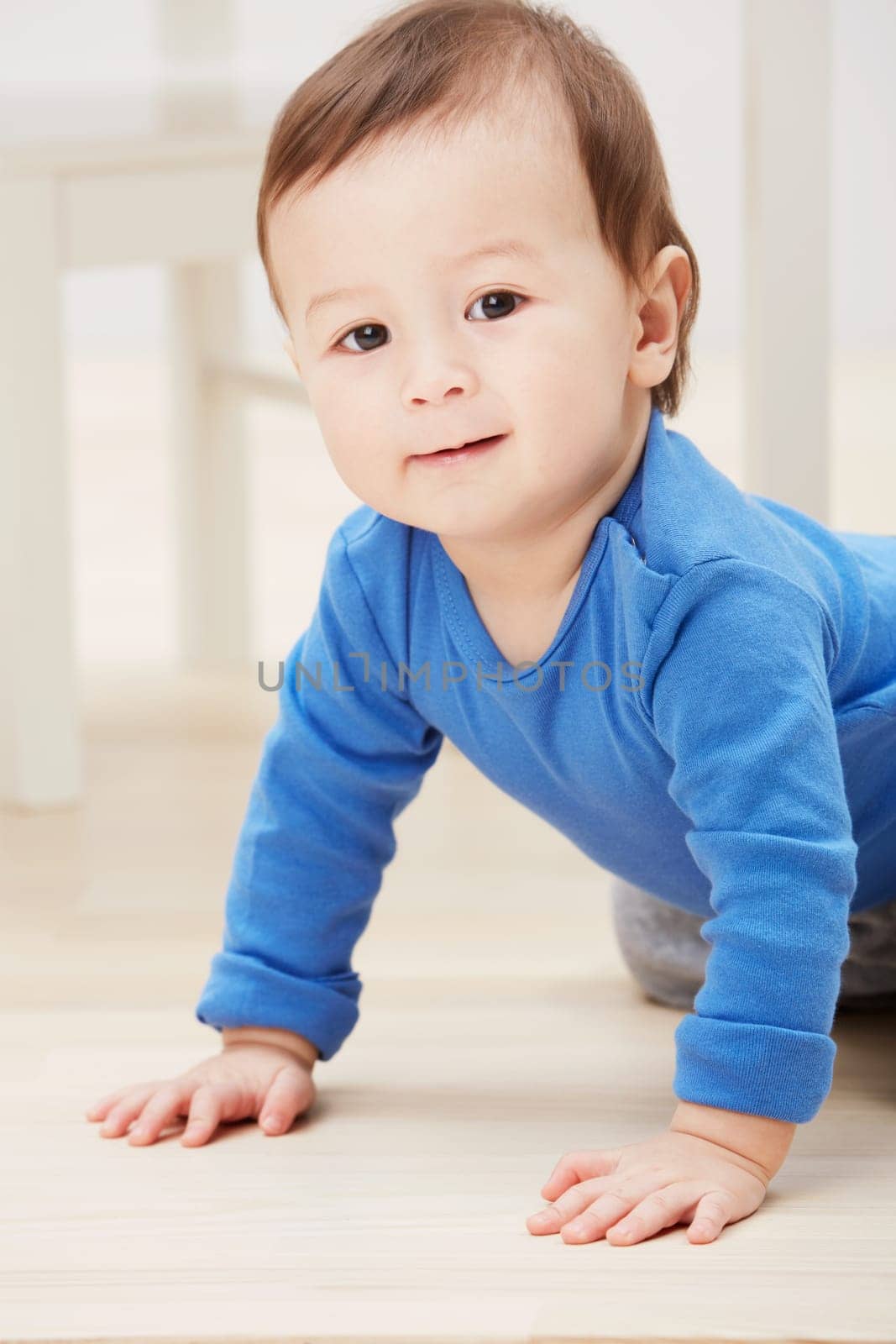 Playful, crawling and portrait of baby on floor for child development, learning and youth. Young, curious and adorable with infant kid on ground of family home for growth, progress and milestone.