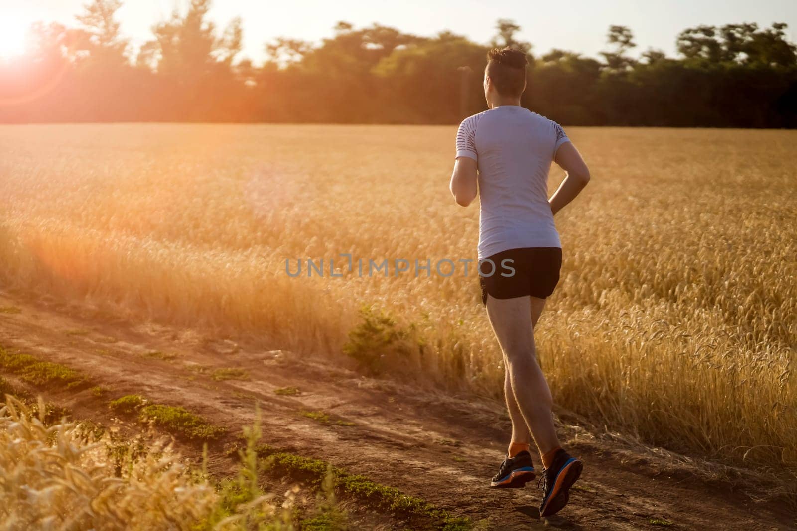 An athletic man jogging along the trails in a wheat field outside the city at sunset, a runner training in a picturesque outdoor area.