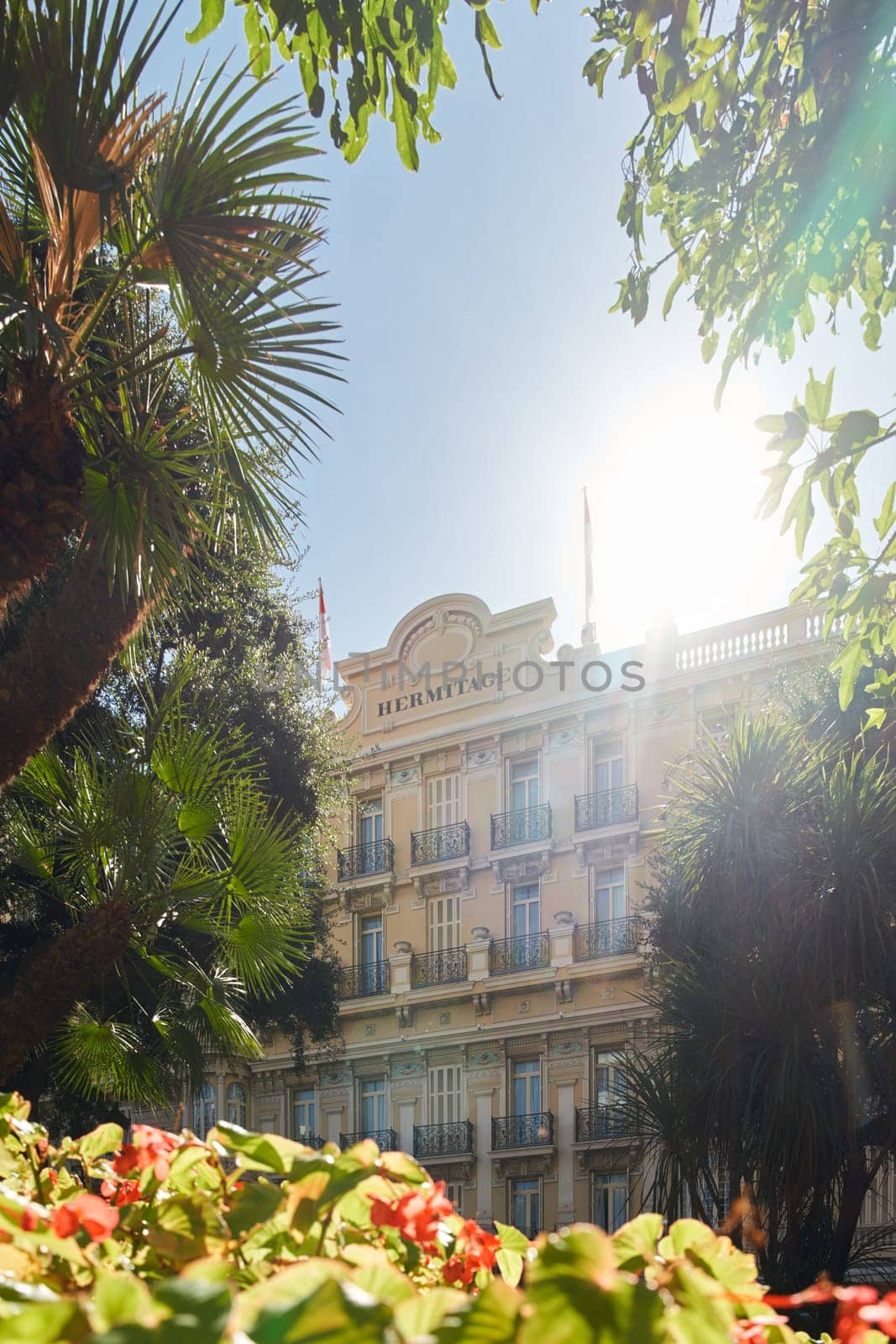 Monaco, Monte-Carlo, 09 November 2022: The Hotel Hermitage through flowers at sunny day, luxury life, building exterior of famous hotel, palm trees, sunshine, balcony. High quality photo