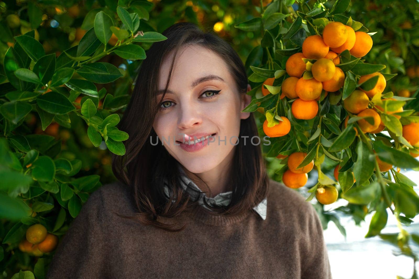 Young adult woman stands and smiling in tangerine tree. An ordinary girl standing by ripe tangerine tree. Female smailing under mandarine fruits close-up and looking at camera