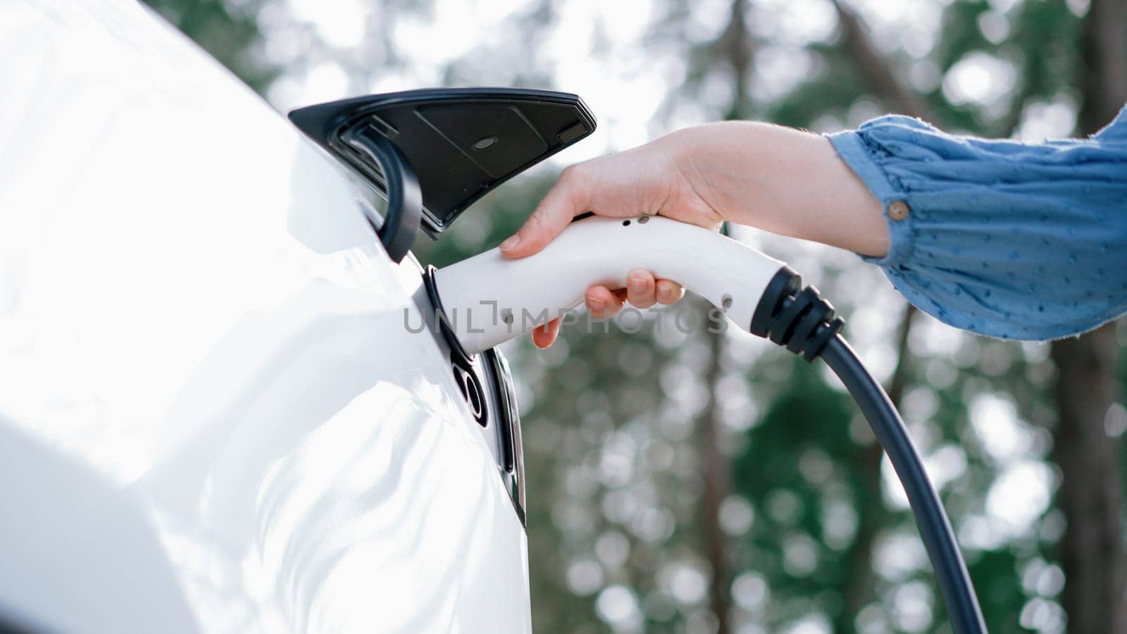 Closeup woman recharge EV electric car's battery at parking lot in natural green park. Clean energy technology for rechargeable vehicle for sustainable and eco friendly travel. Perpetual