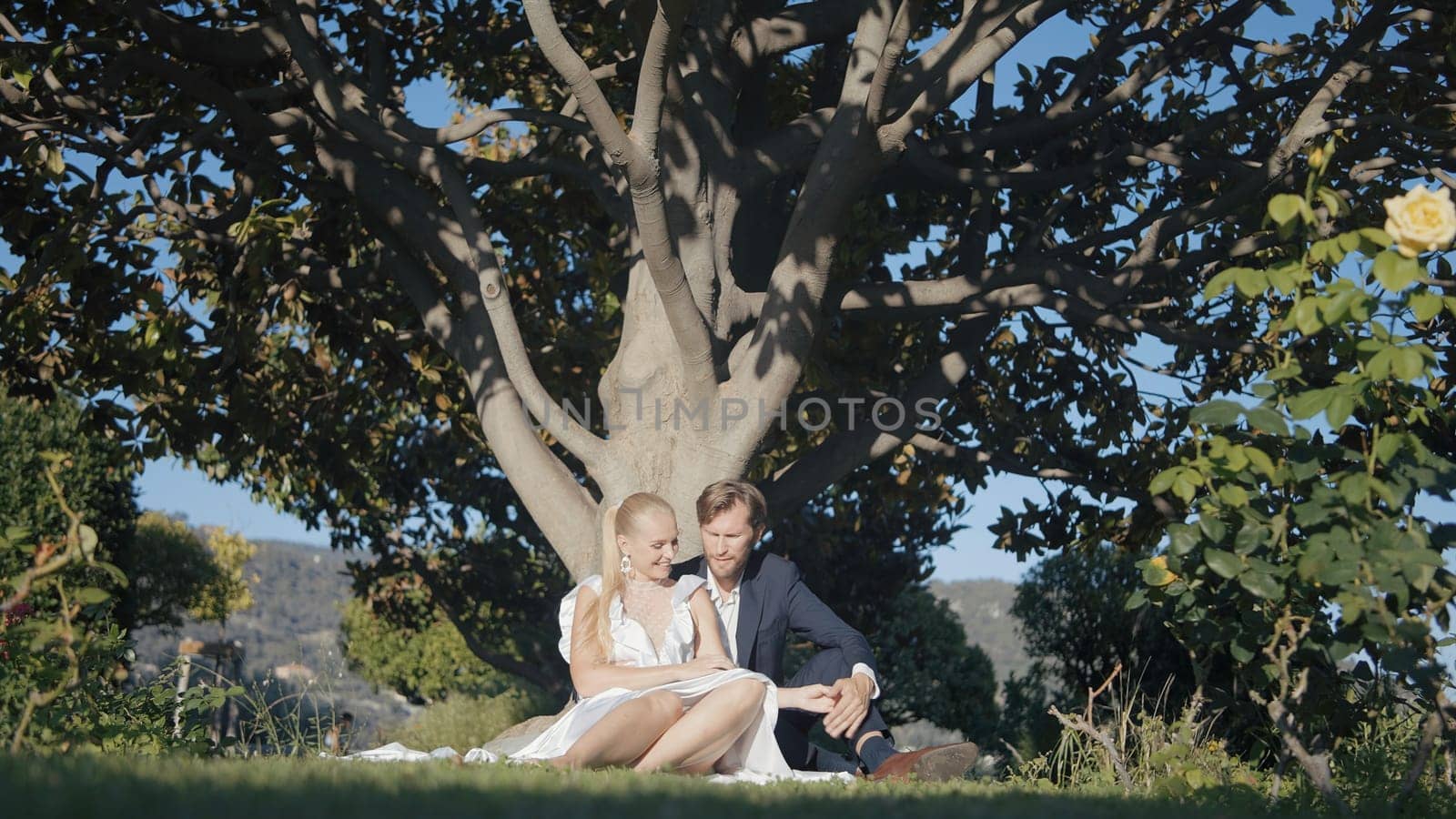 Newlyweds are sitting under tree. Action. Romantic couple in outfits is sitting by tree on summer day. Beautiful couple of newlyweds sit under big green tree by Mediawhalestock