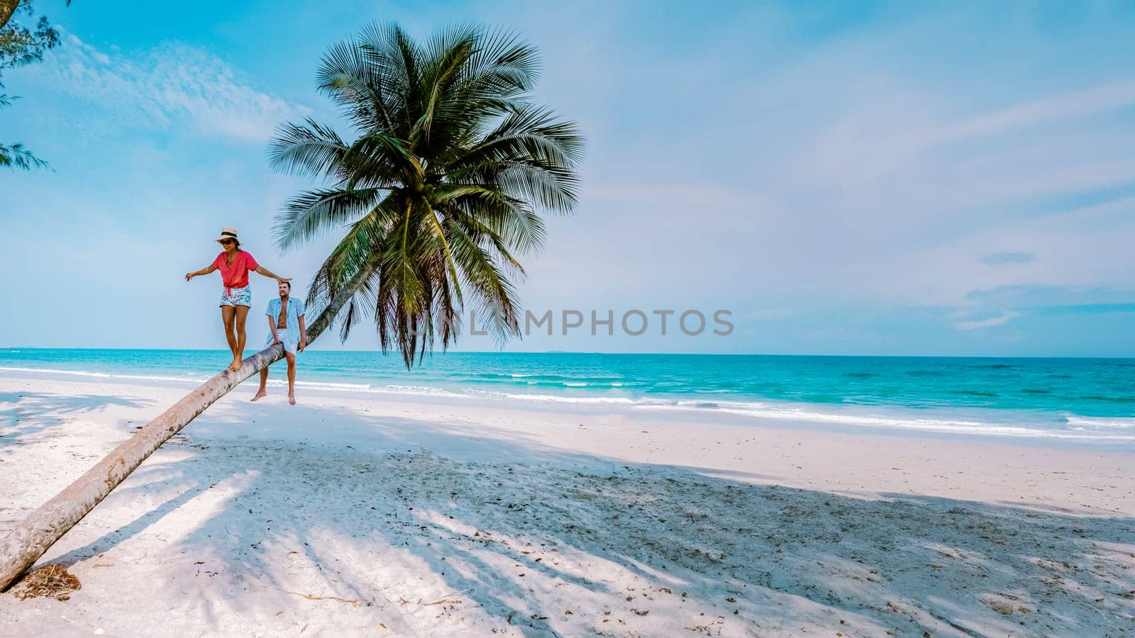 A couple climbing in a palm tree in Thailand, Wua Laen beach Chumphon area Thailand, palm tree hanging over the beach with a couple of men and woman on vacation in Thailand