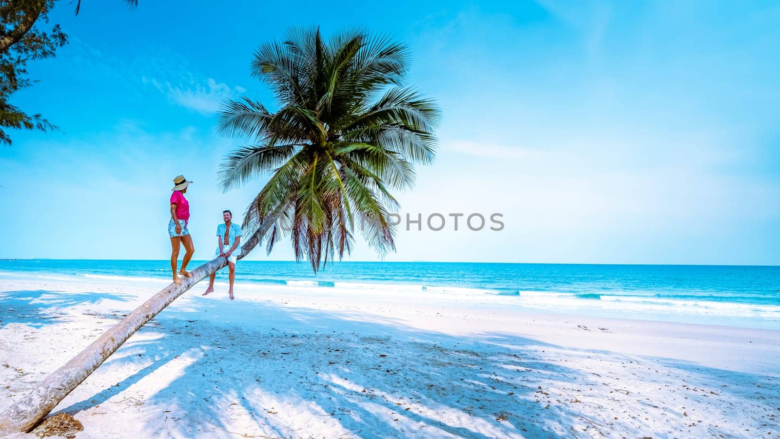 A couple climbing in a palm tree in Thailand at Wua Laen beach Chumphon area Thailand, palm tree hanging over the beach with a couple of men and woman on vacation holiday in Thailand